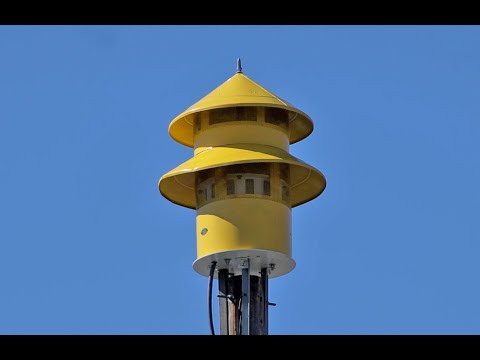 Federal signal model 5