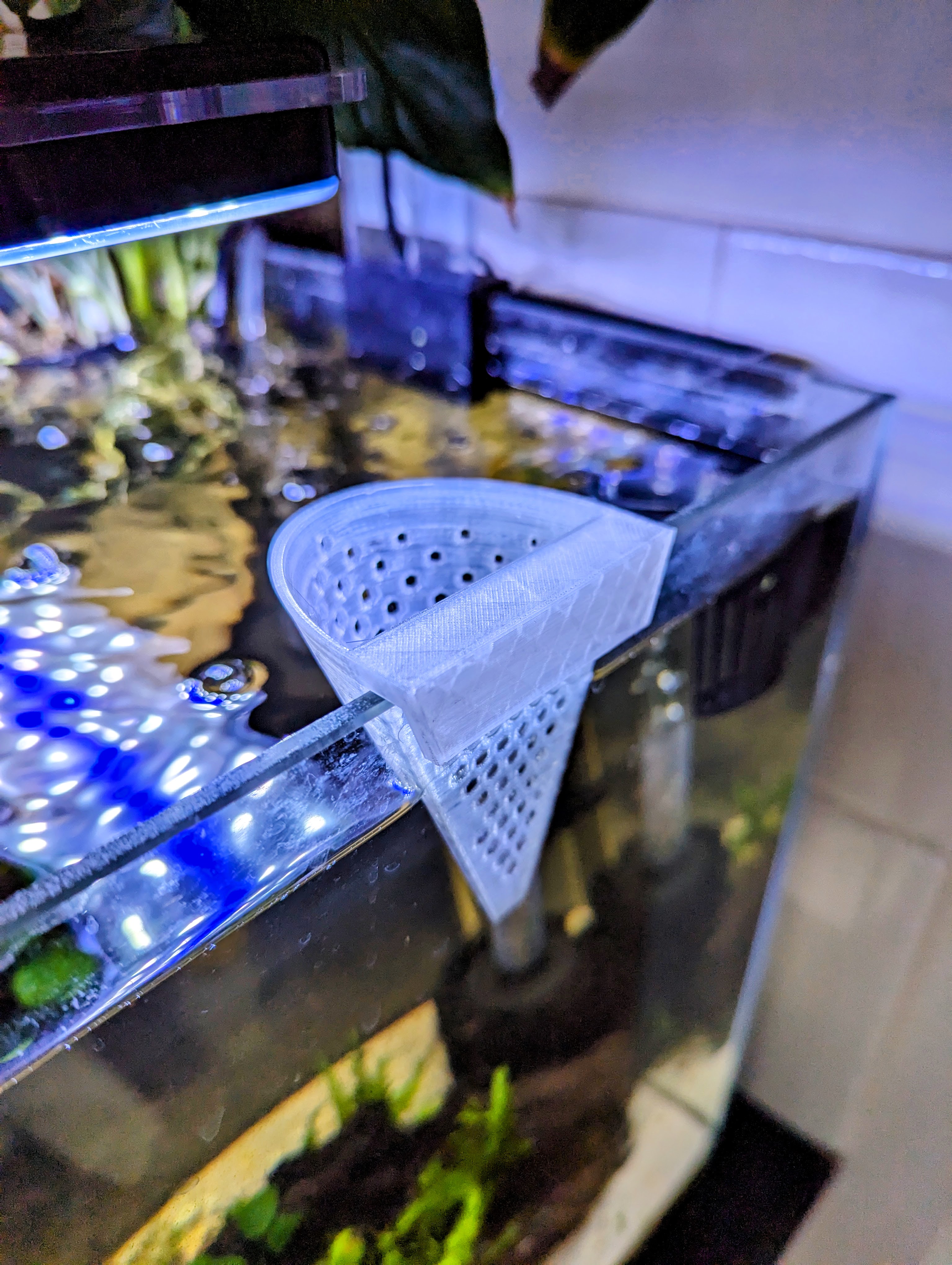 Small Aquarium Planter
