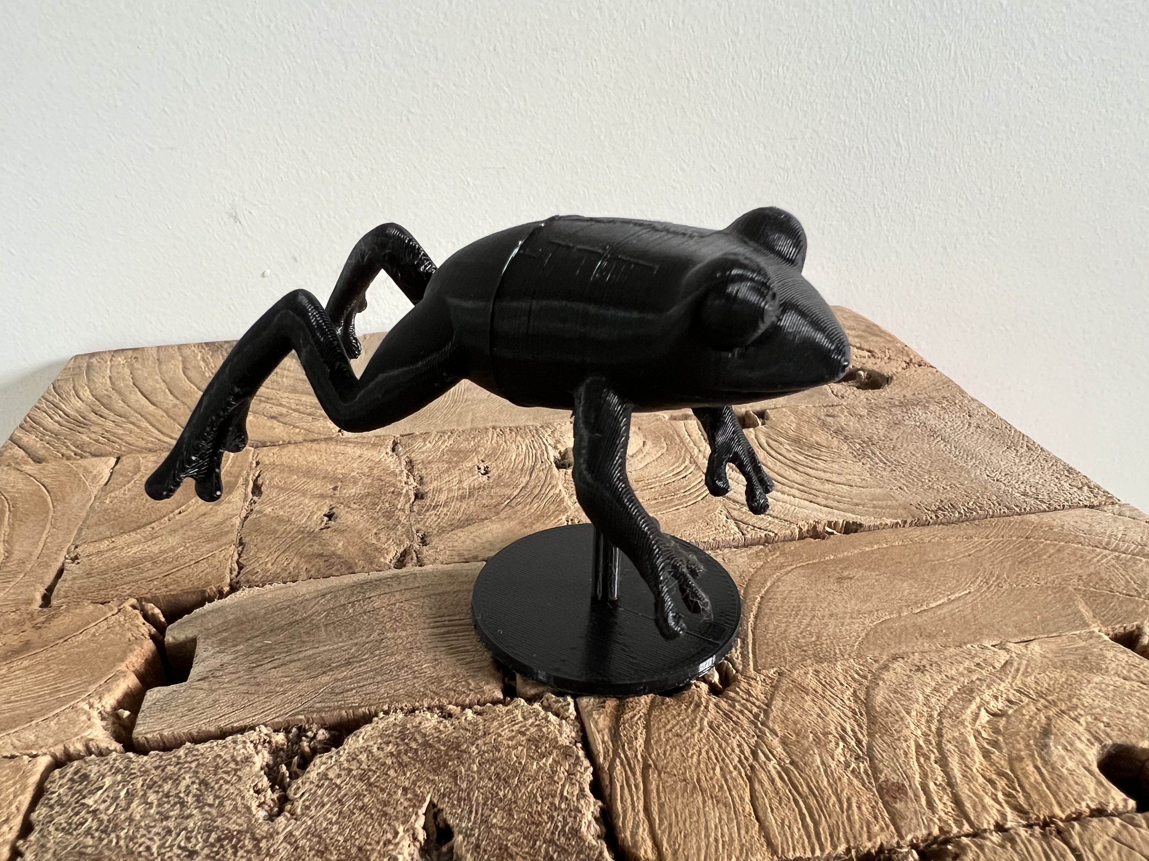 Miniatura 3 do modelo 3D Jumping Frog