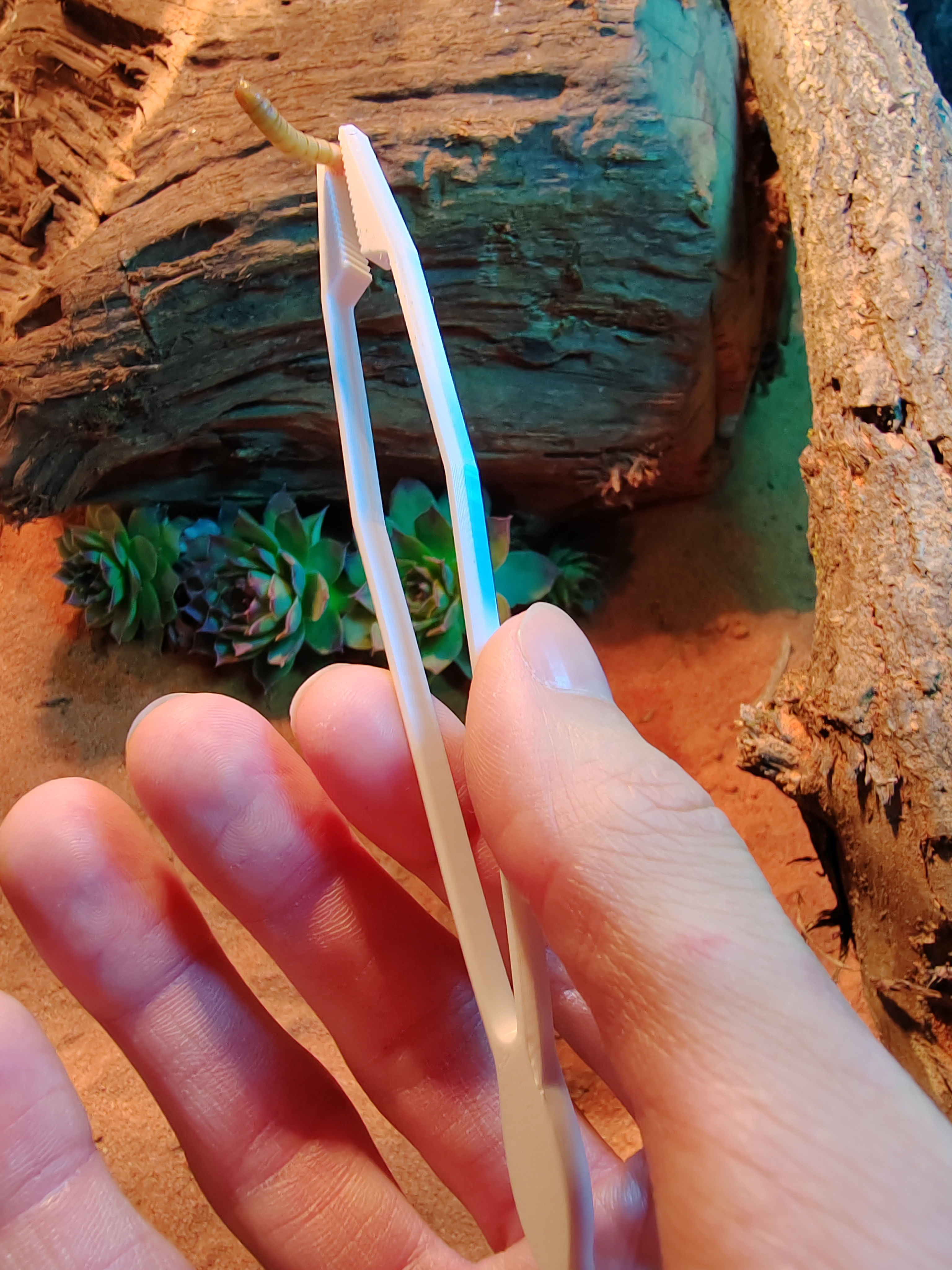 Reptile Feeding Tongs