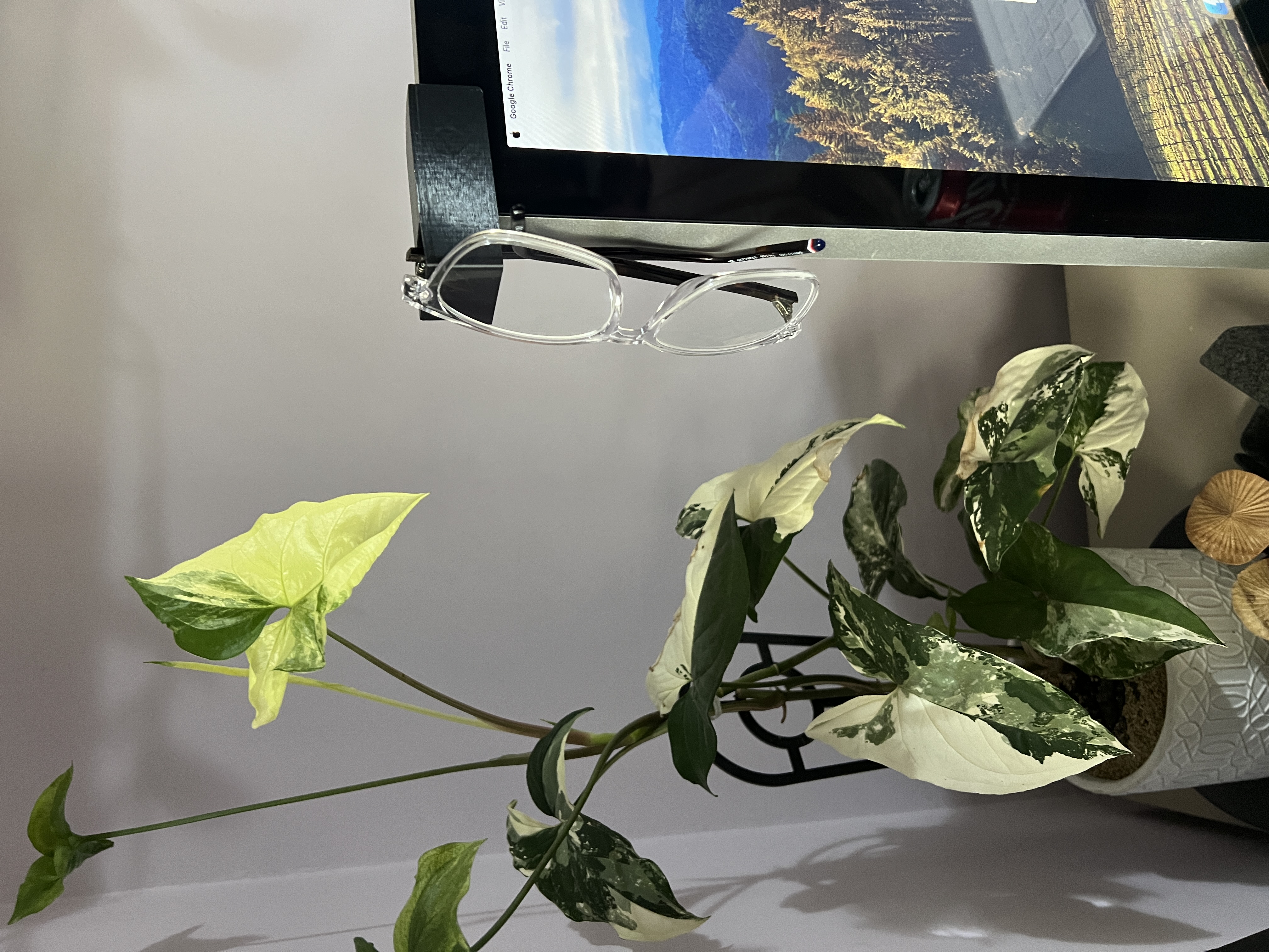 Apple Thunderbolt display Glasses Holder V2 (Right and left side)