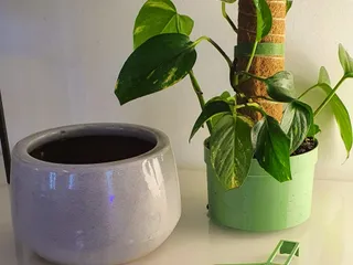 NEIGHBORHOOD PLANT POT 鉢 インテリア SPECIMEN NEIGHBORHOOD PLANT POT 鉢 インテリア SPECIMEN - メルカリ