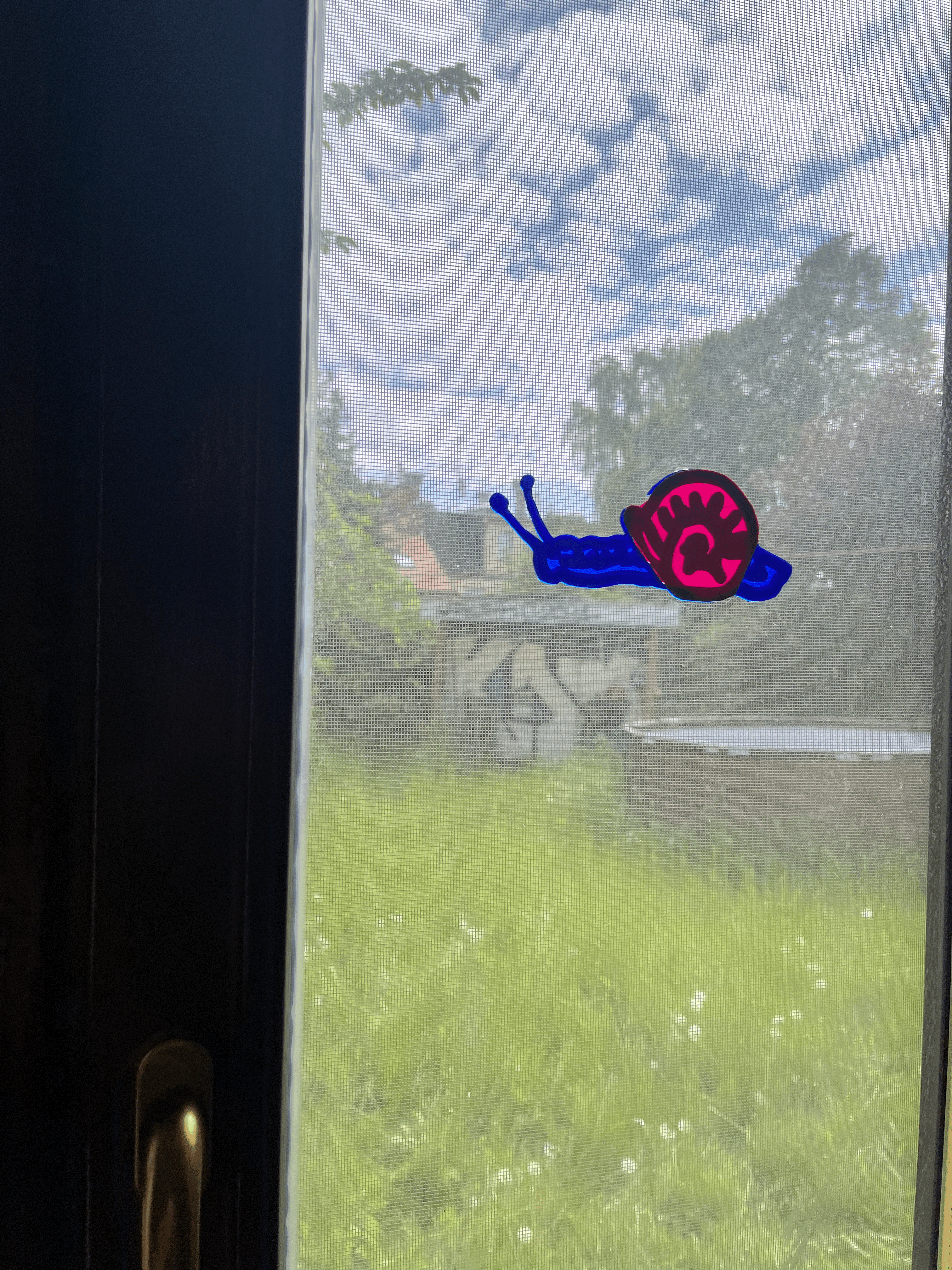 cute snail