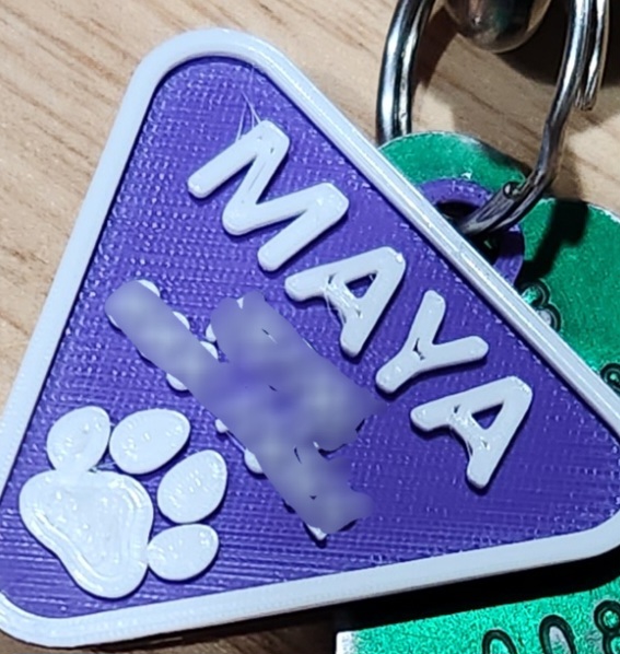 Dog Tag:  Hotel for Homeless Dogs