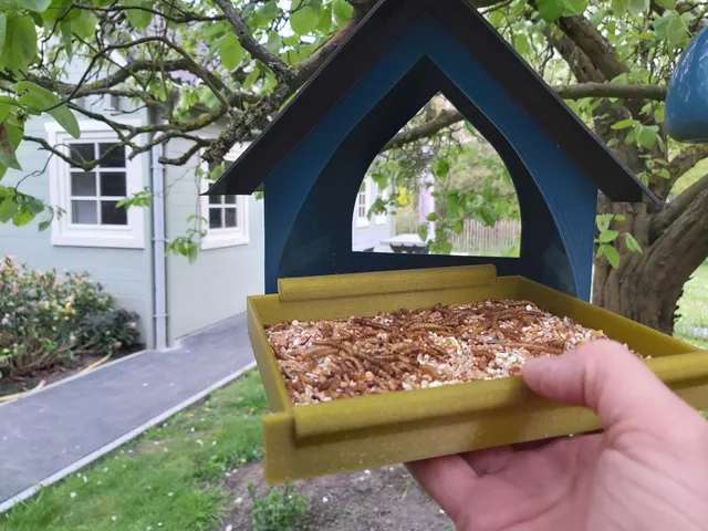 Bird feeder with removable drawer