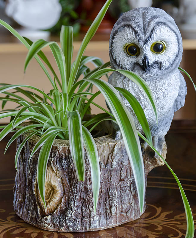 Owl themed planter/desk organizer/item holder