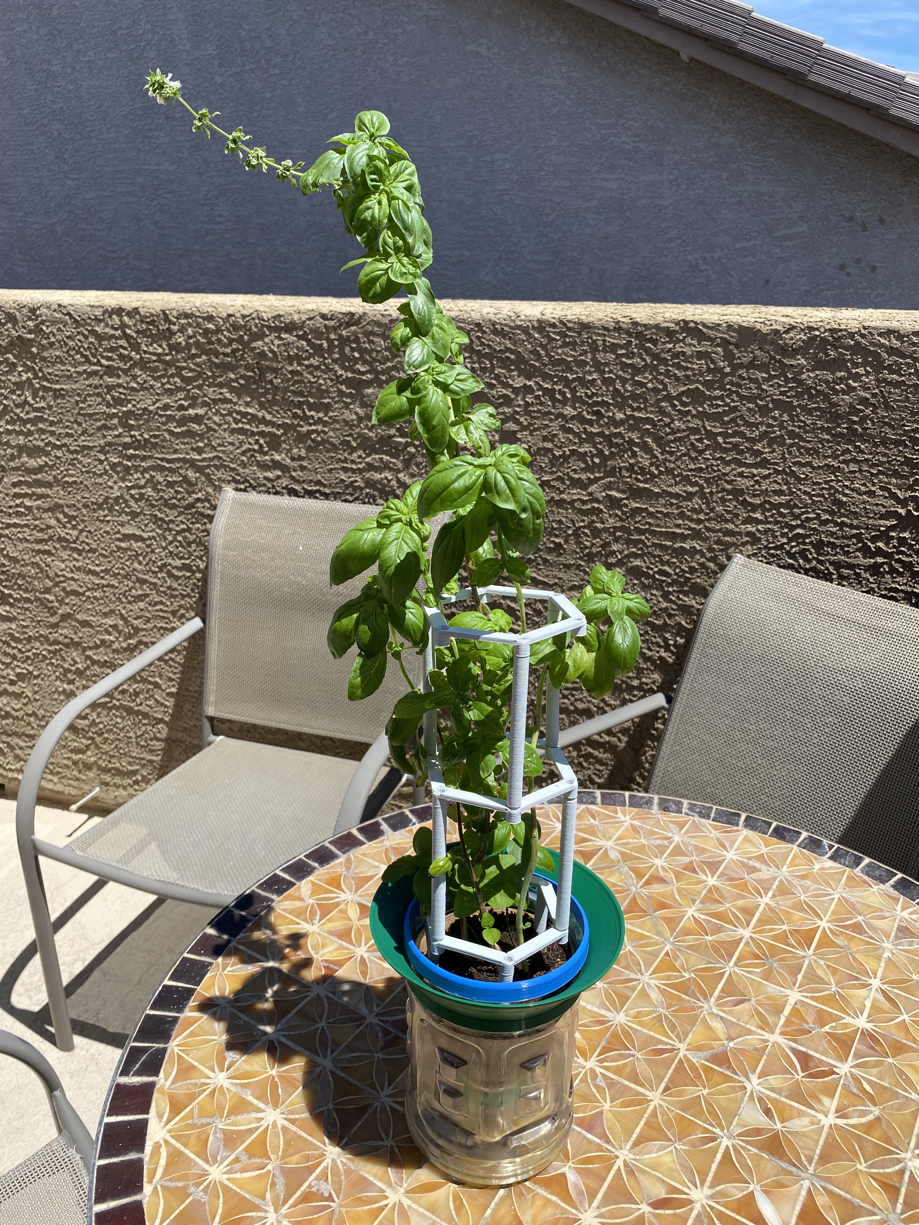 Self-watering Juice Bottle Planter