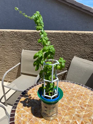 Self-watering Juice Bottle Planter