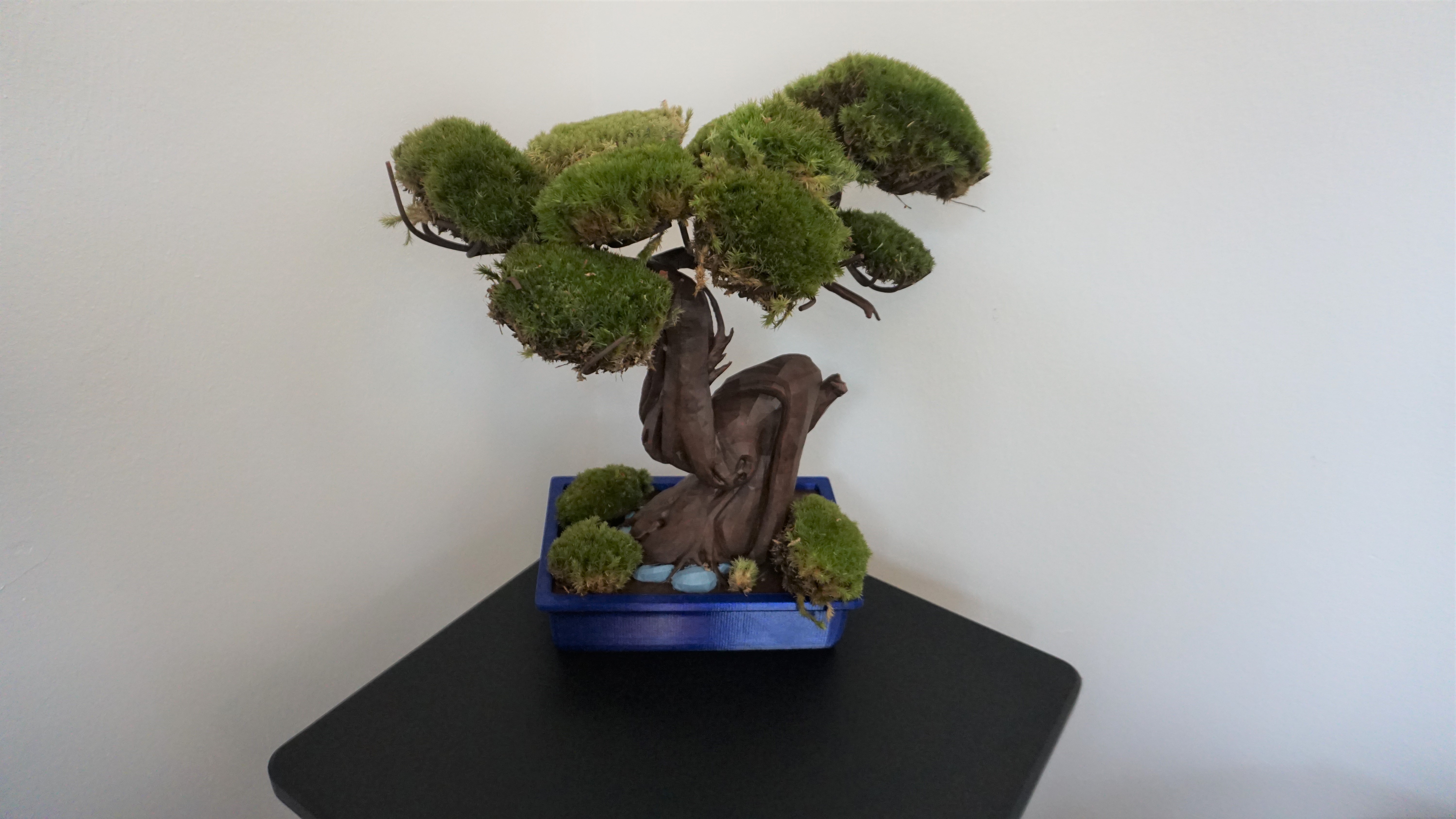 Moss Bonsai flower pot