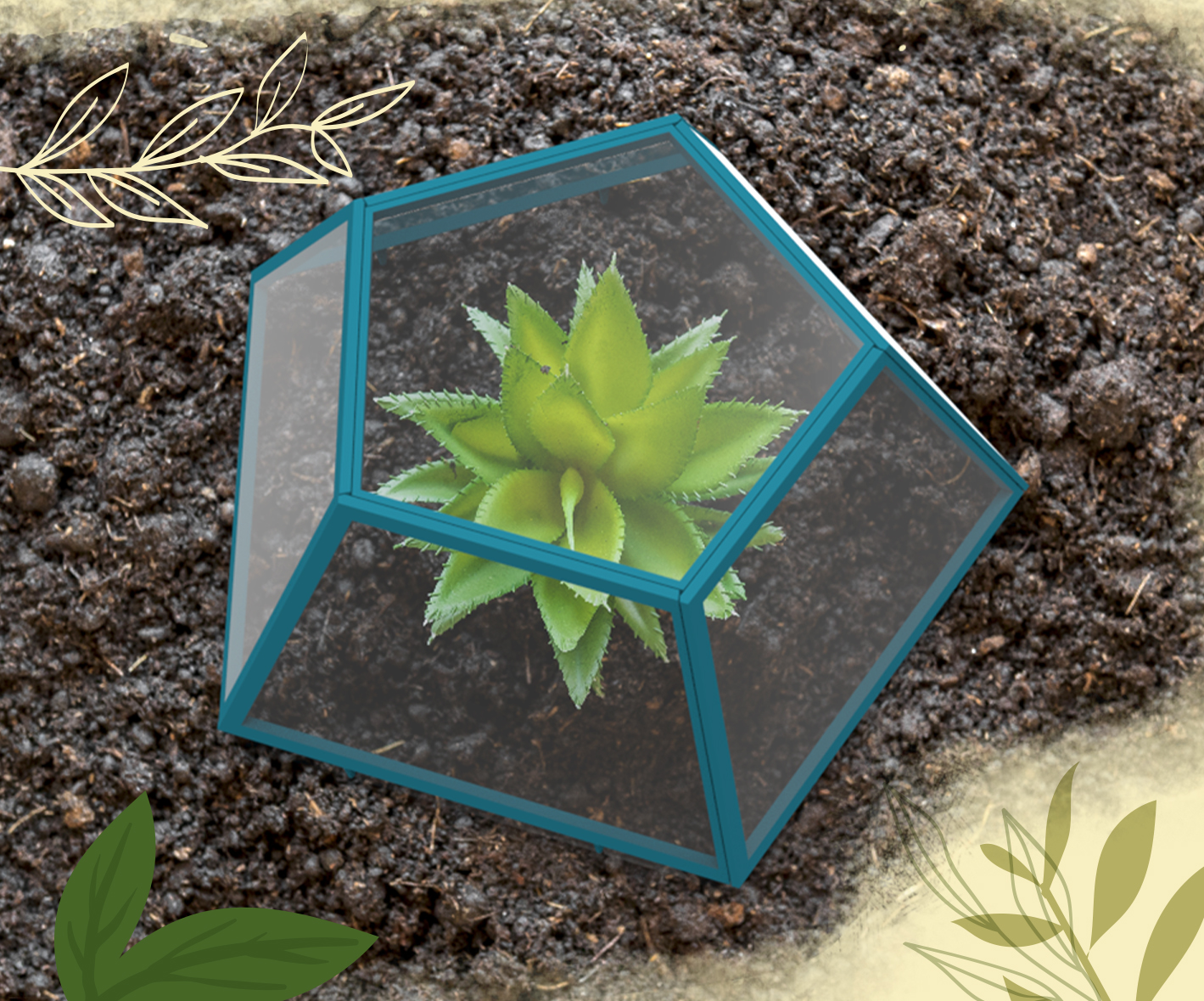 Plant Cover