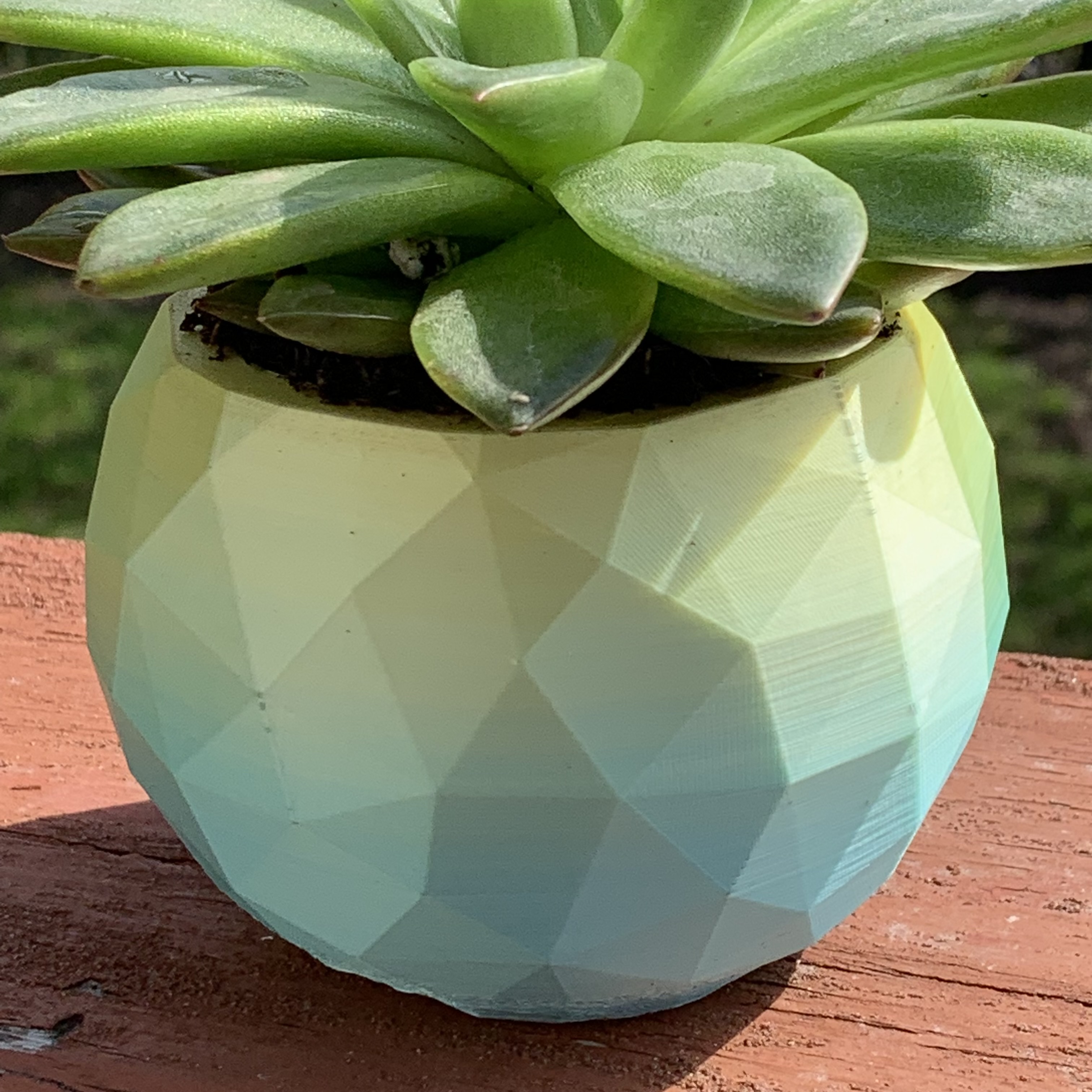 Elegant Low Poly Planters by Makerwiz | Printables Store