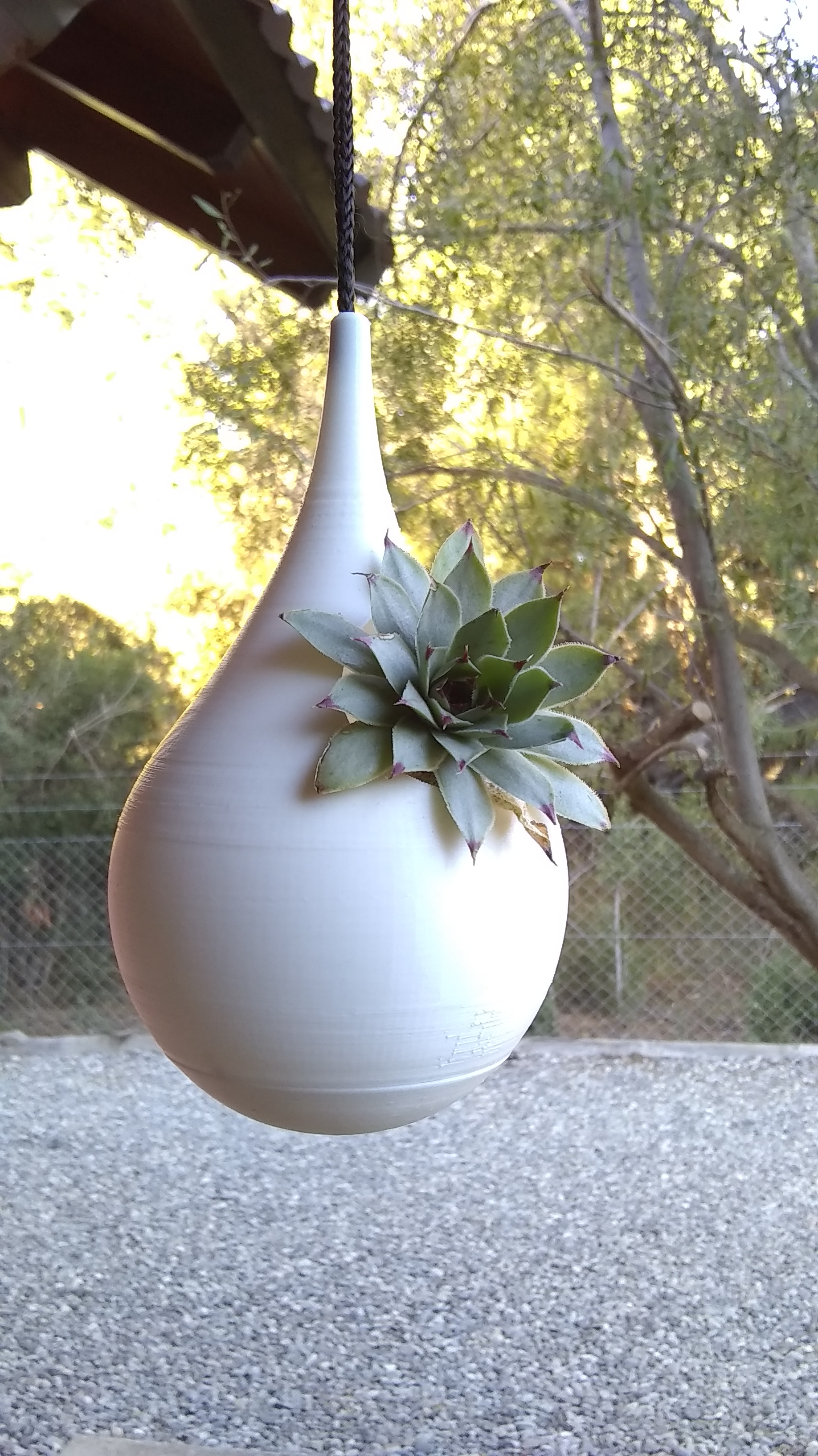 A one-of-a-kind hanging pot