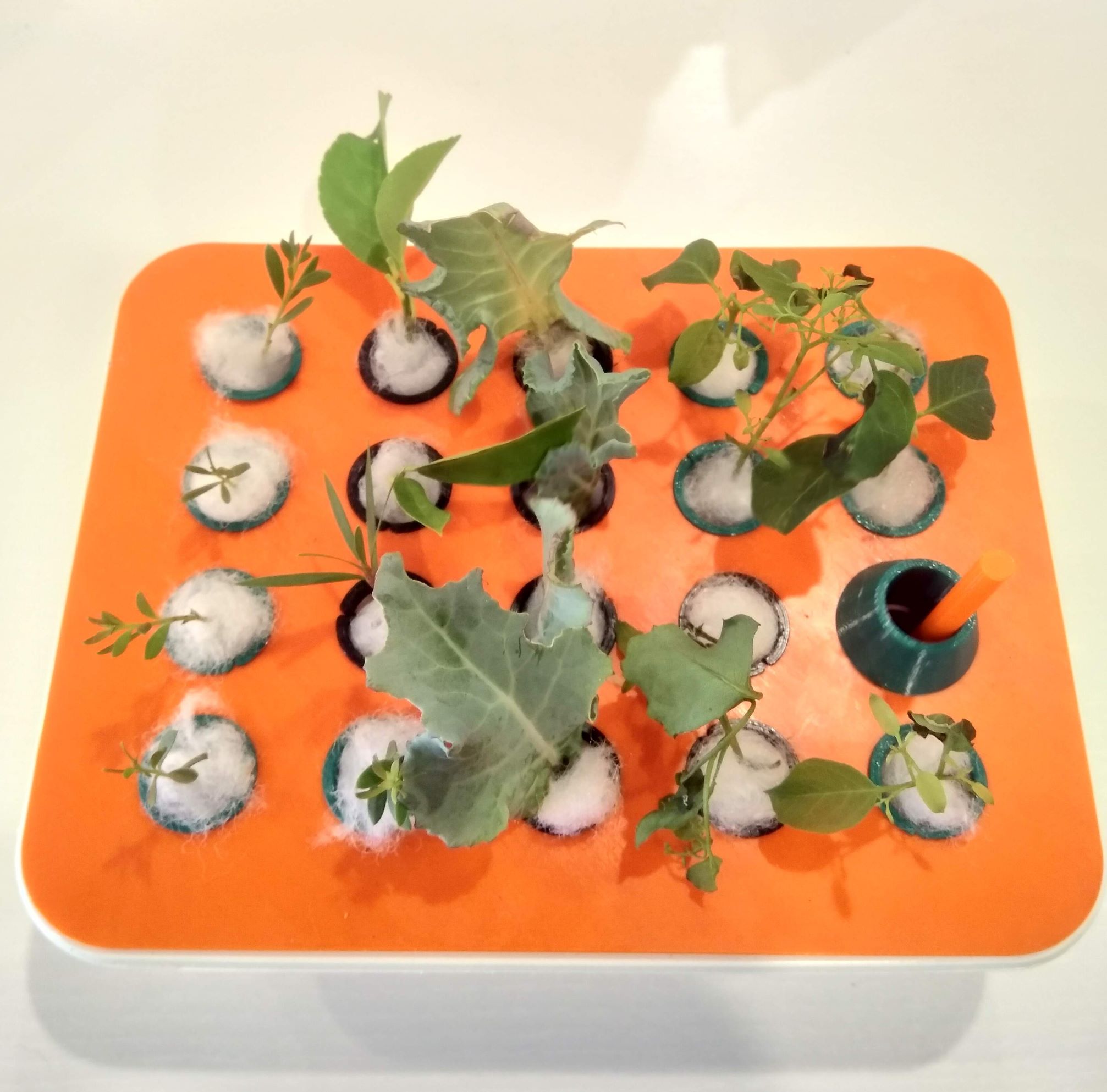 Propagation station using recycled tray
