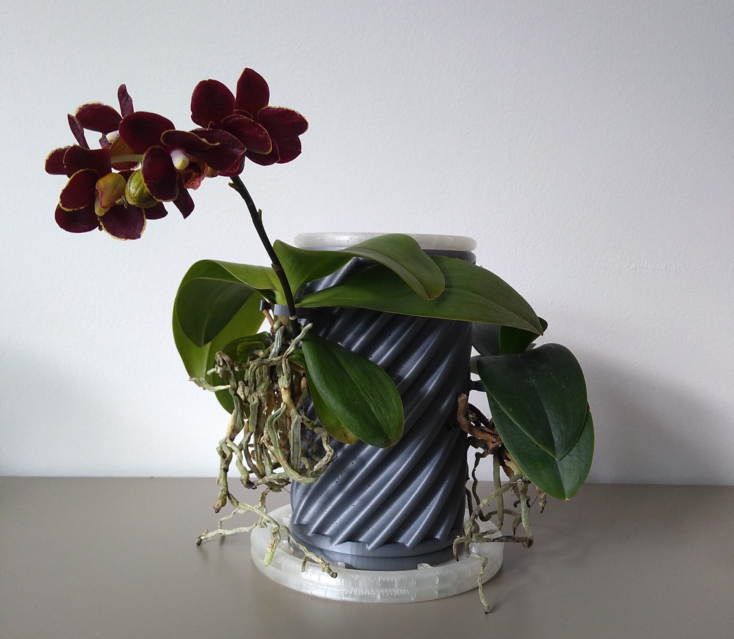 Plant pot, but inside-out