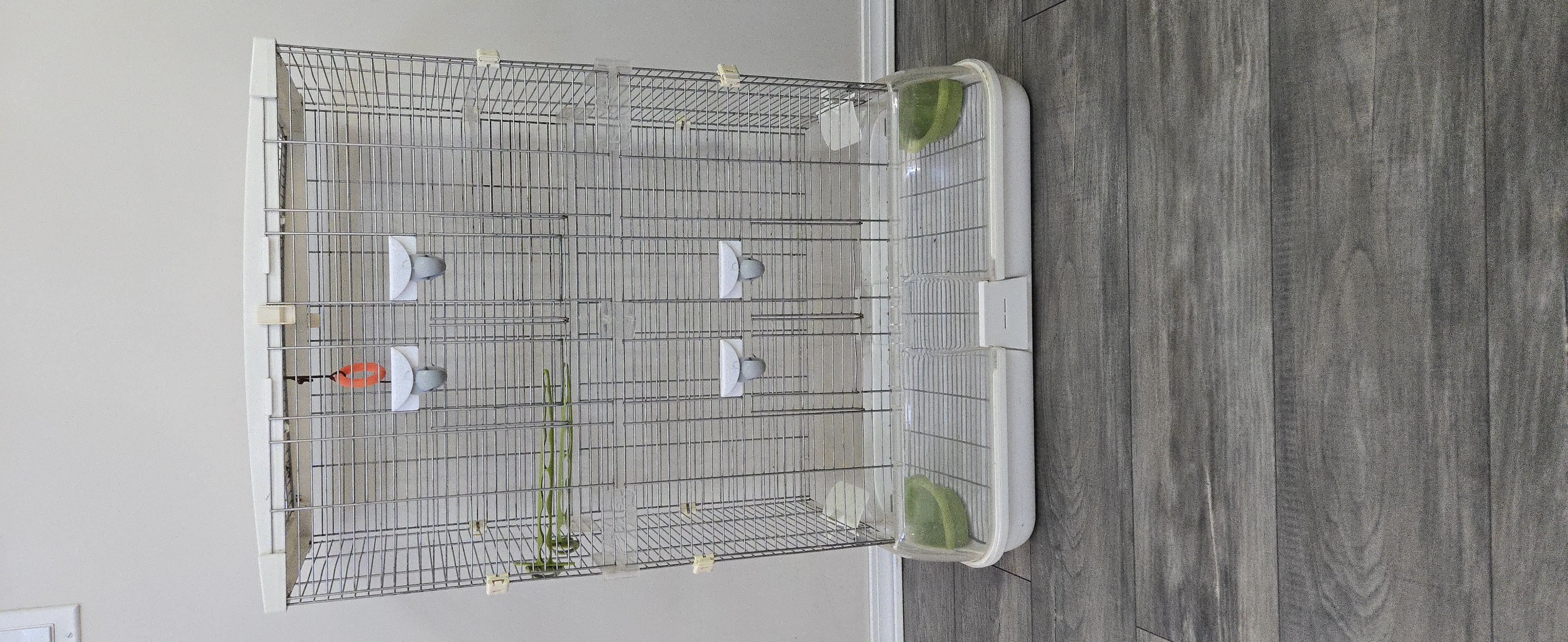 Miniatura 4 do modelo 3D Vision Bird Cage Latch