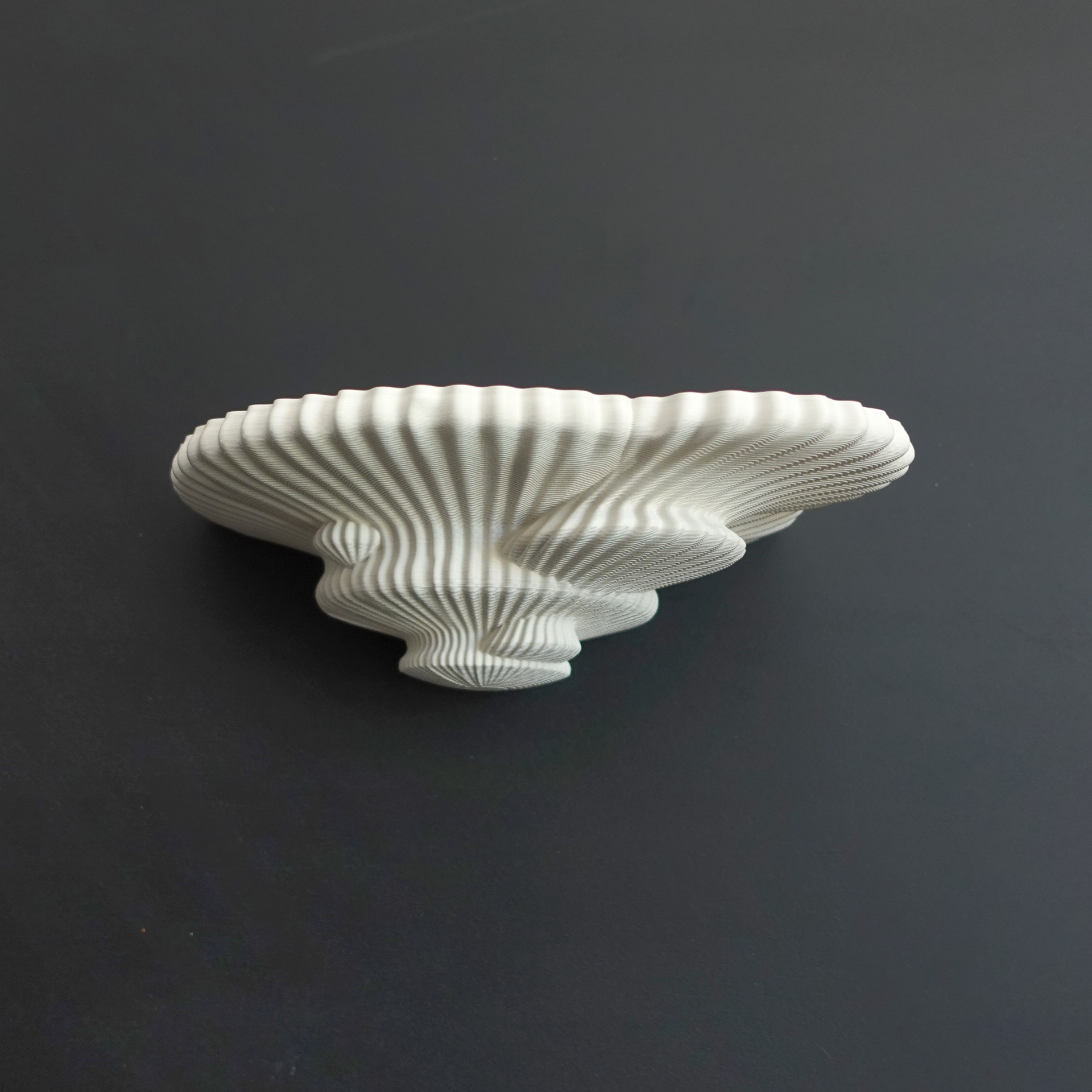 Mushroom shelf “Tinder”