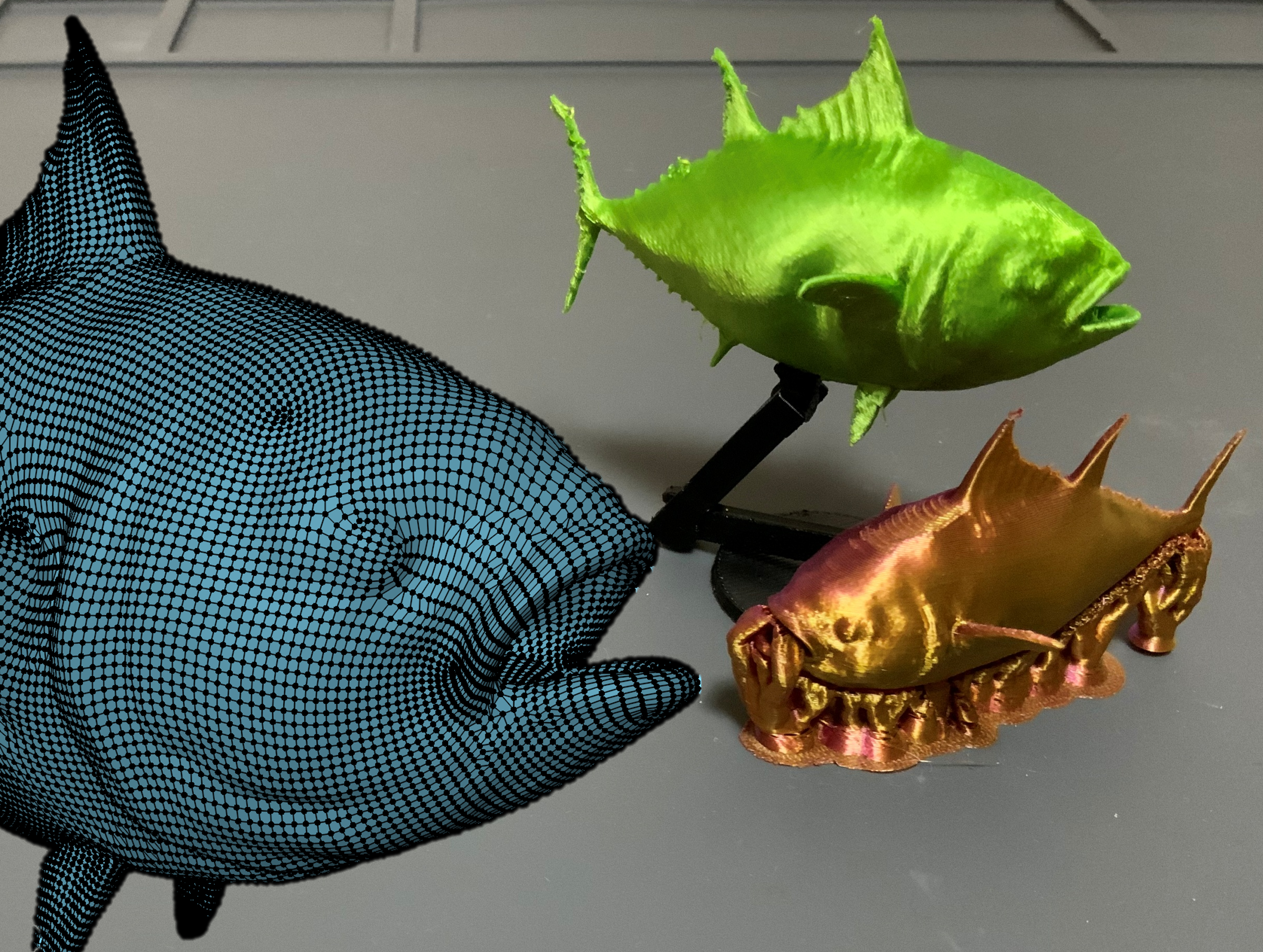 Tuna/Maguro - 3d outline