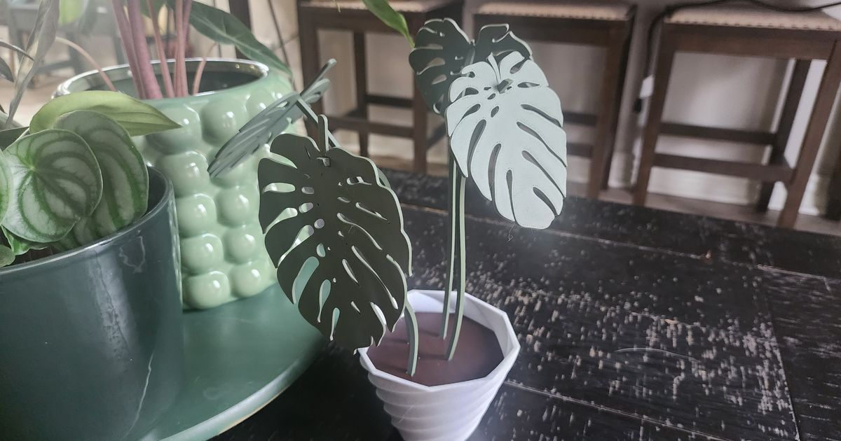 Monstera Coaster Set by Eklypz | Download free STL model | Printables.com