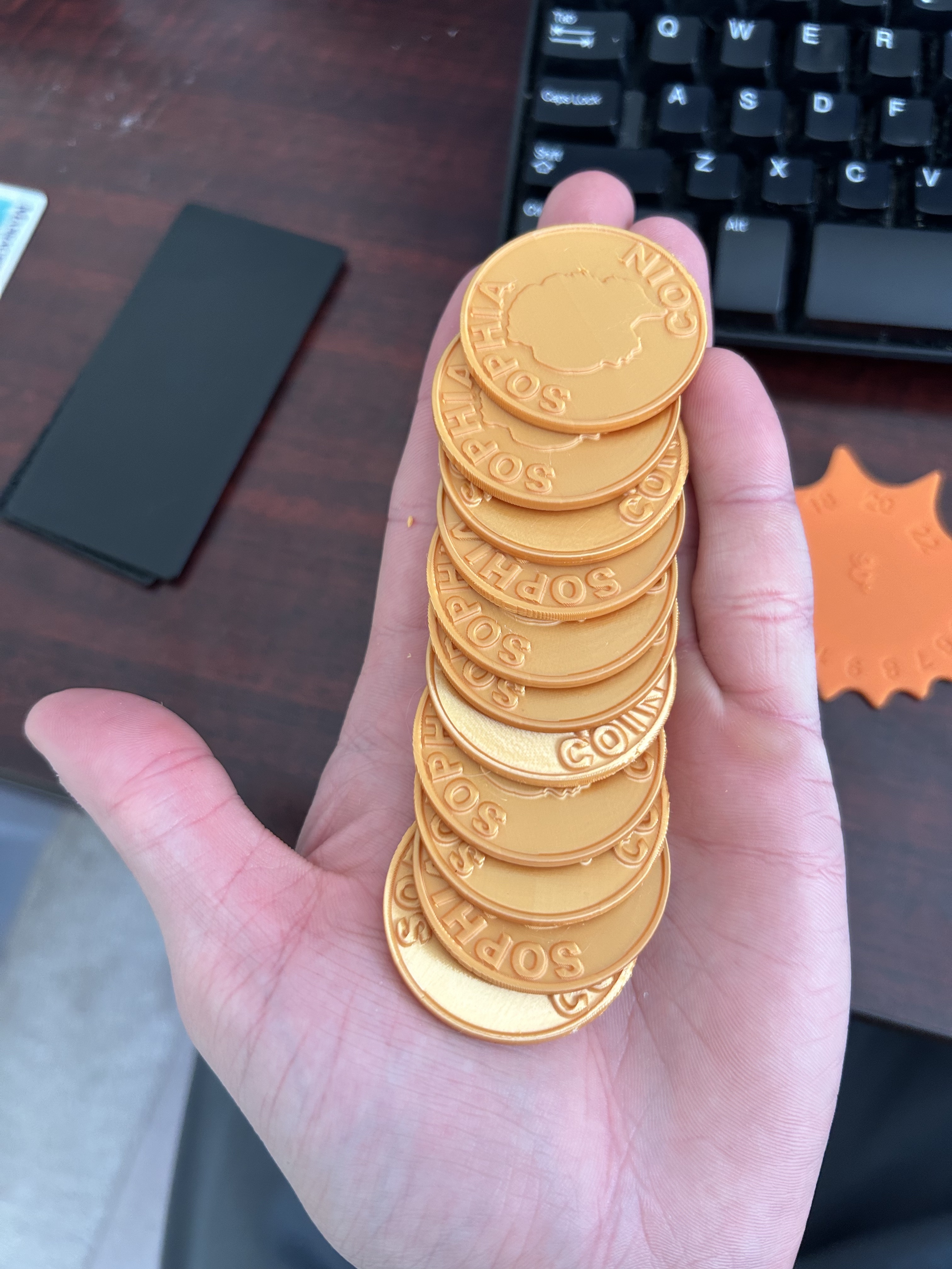 Blank Coins with Case