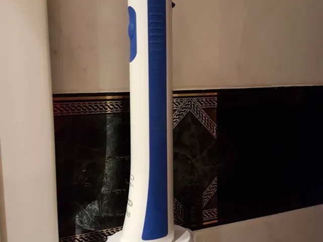 Electric Toothbrush wall support