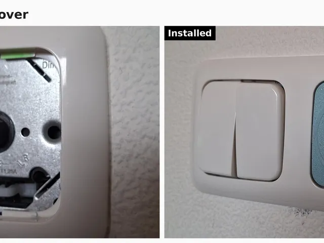 Dimmer knob + cover for Busch-Jaeger Reflex SI (or similar)
