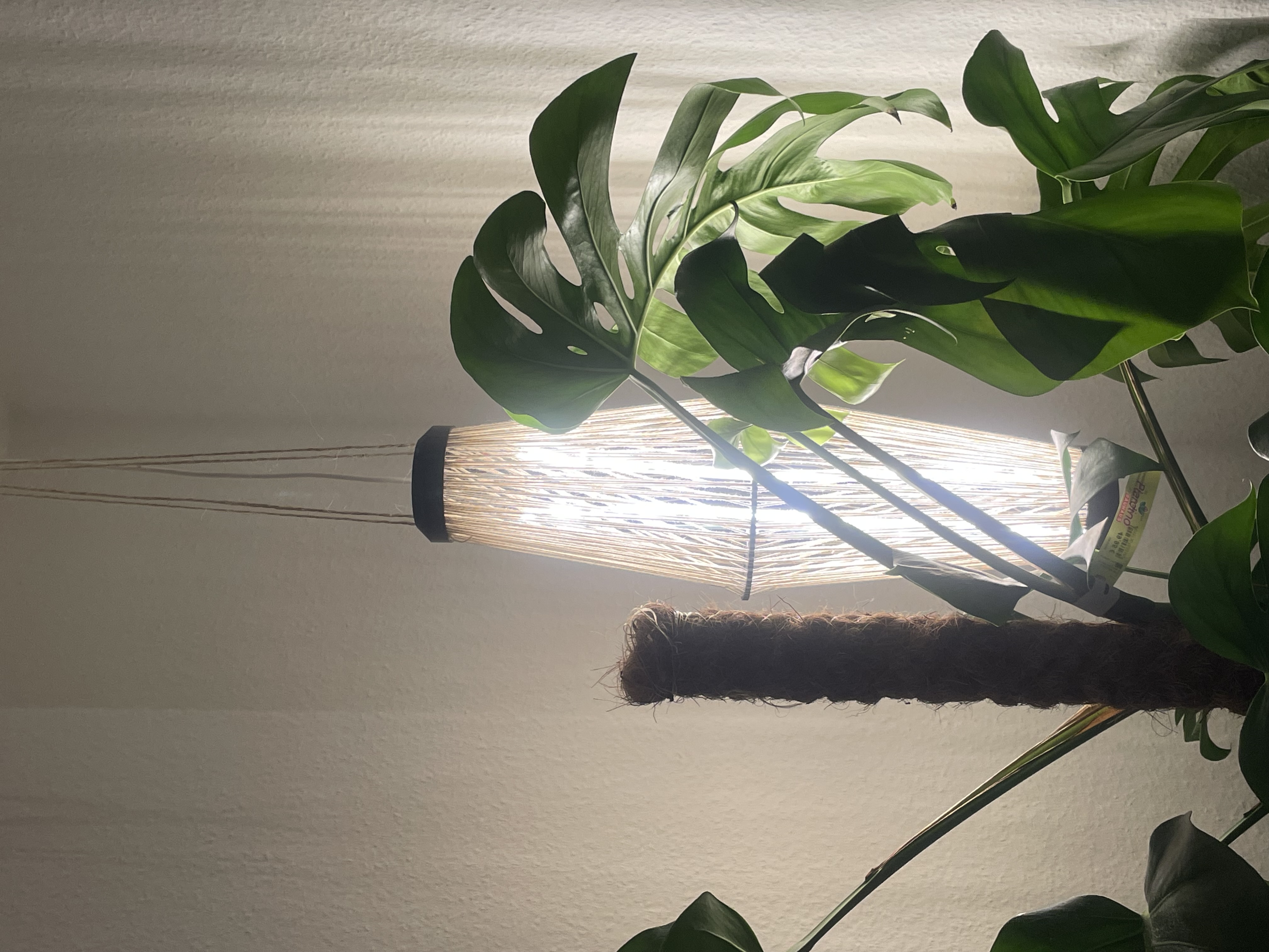 LED-Strip String Lamp