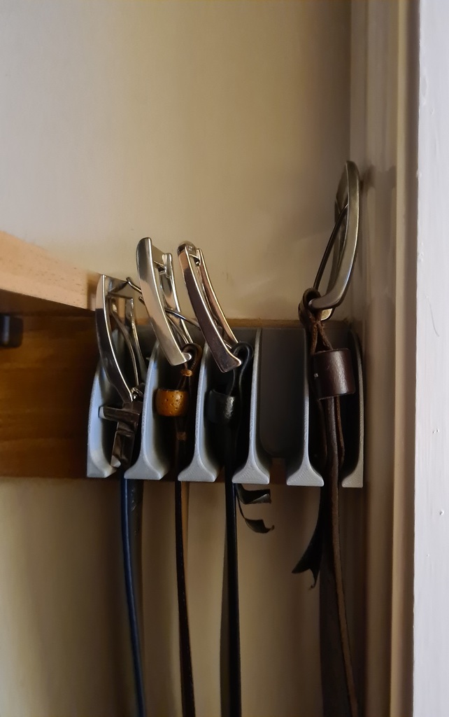 Belt Wall Hanger Suitable for 5 Belts by NEnder_3 Download free
