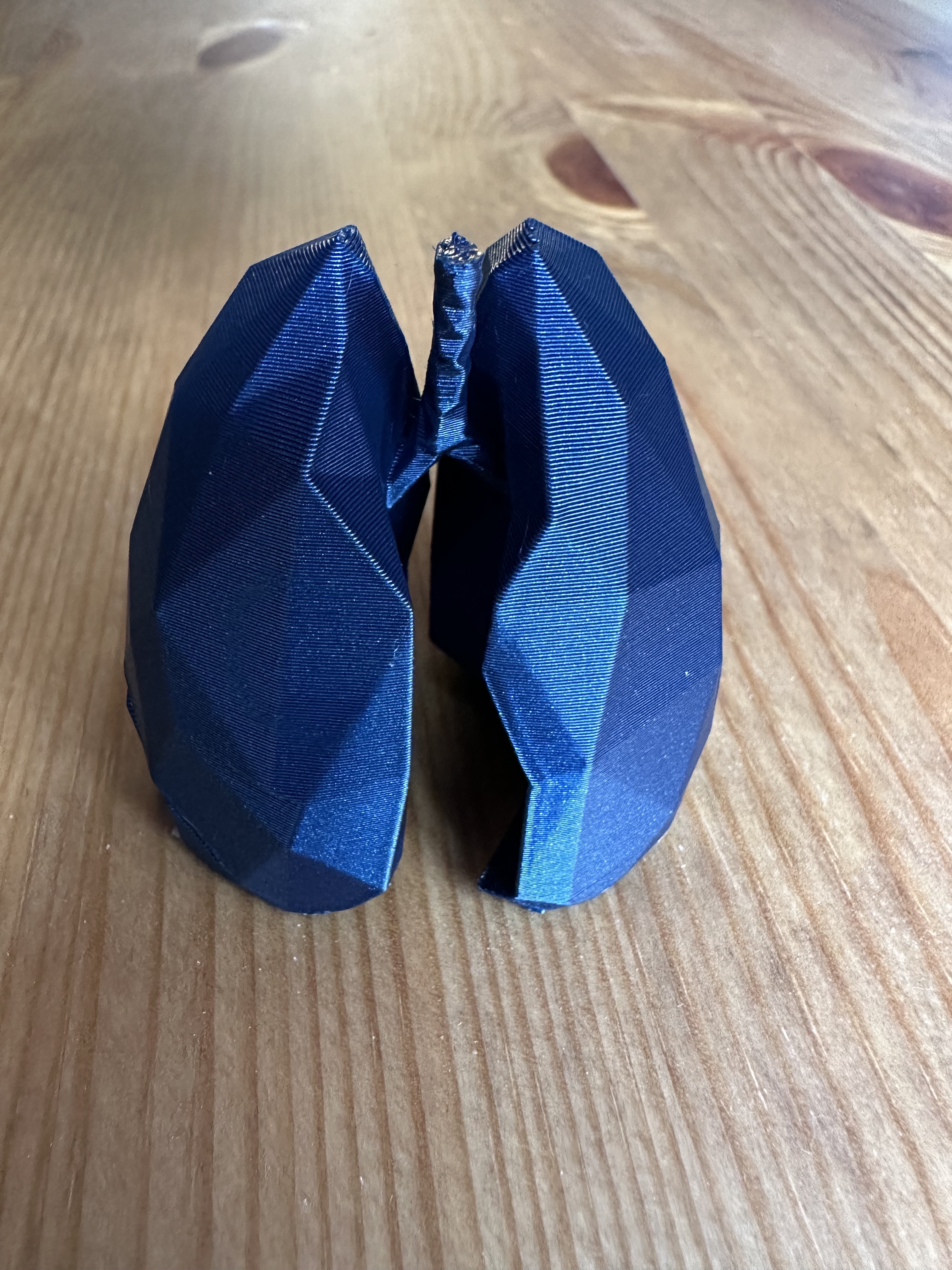 Anatomical Low poly lungs