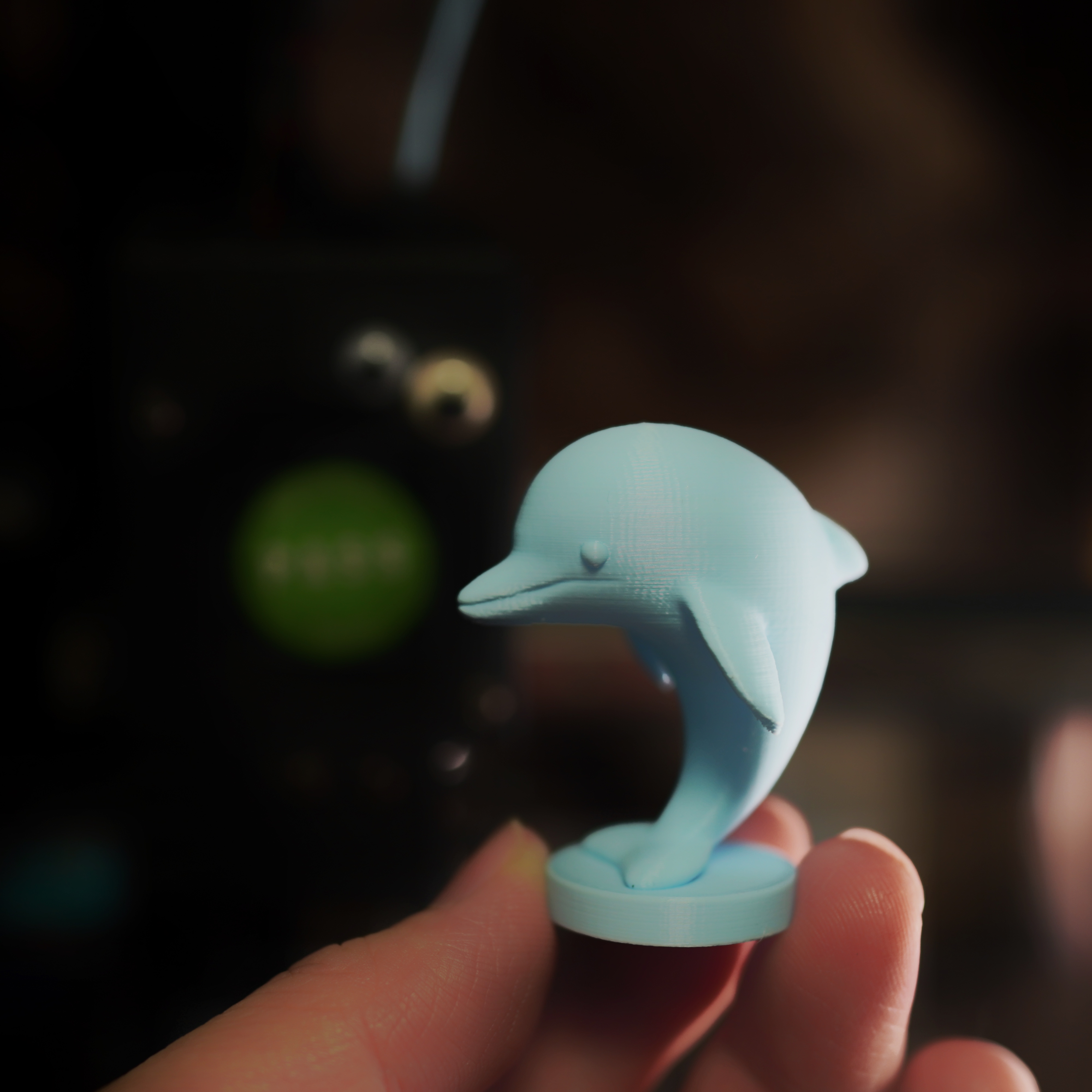 Jumping dolphin