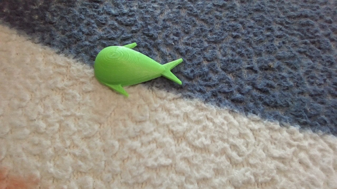 Fishi