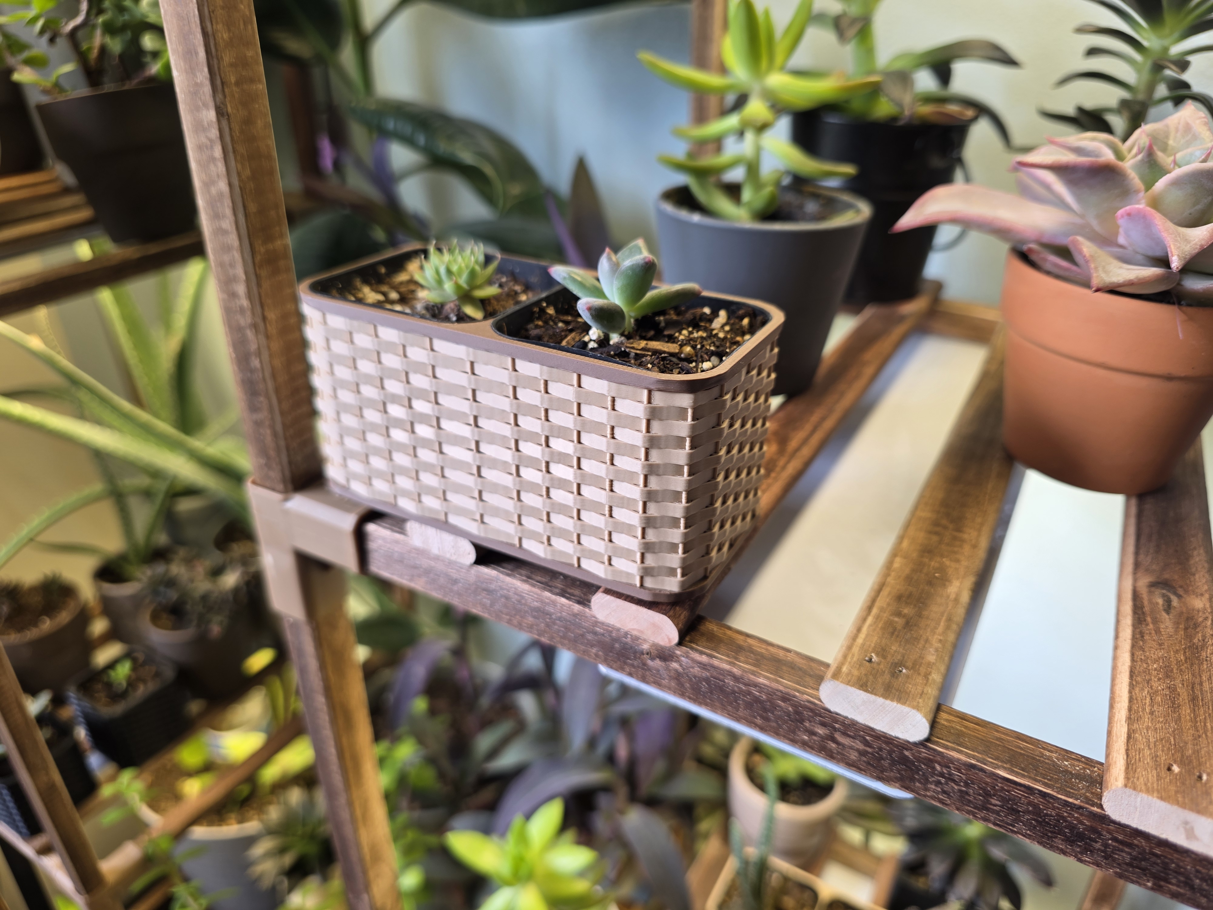 Woven Basket Planter