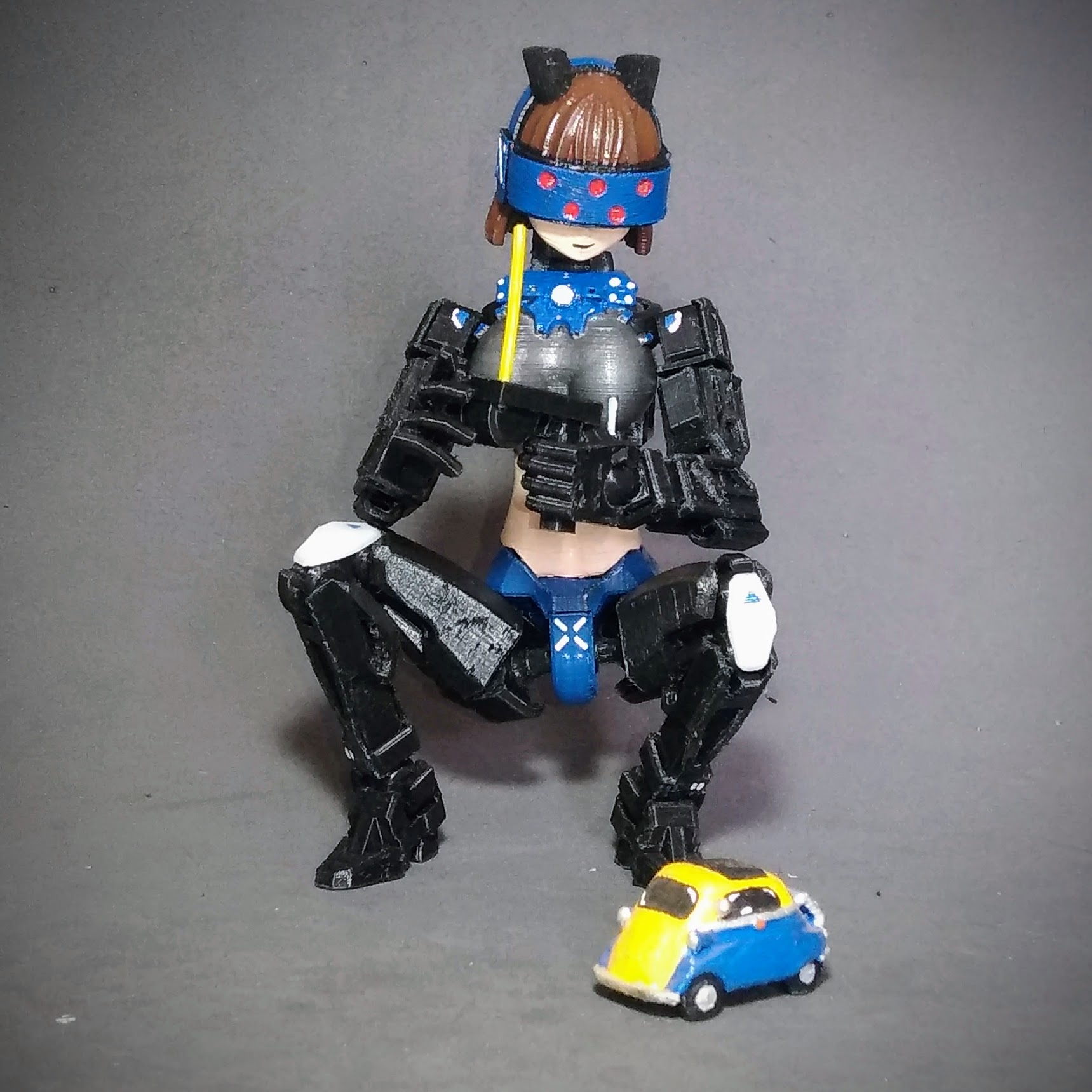 Radio control controller for Dummy/Lucky 13