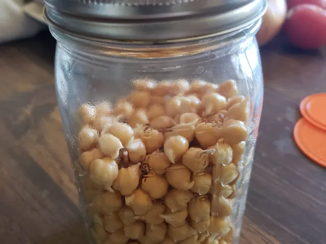 Mason Jar Sprouting Lid