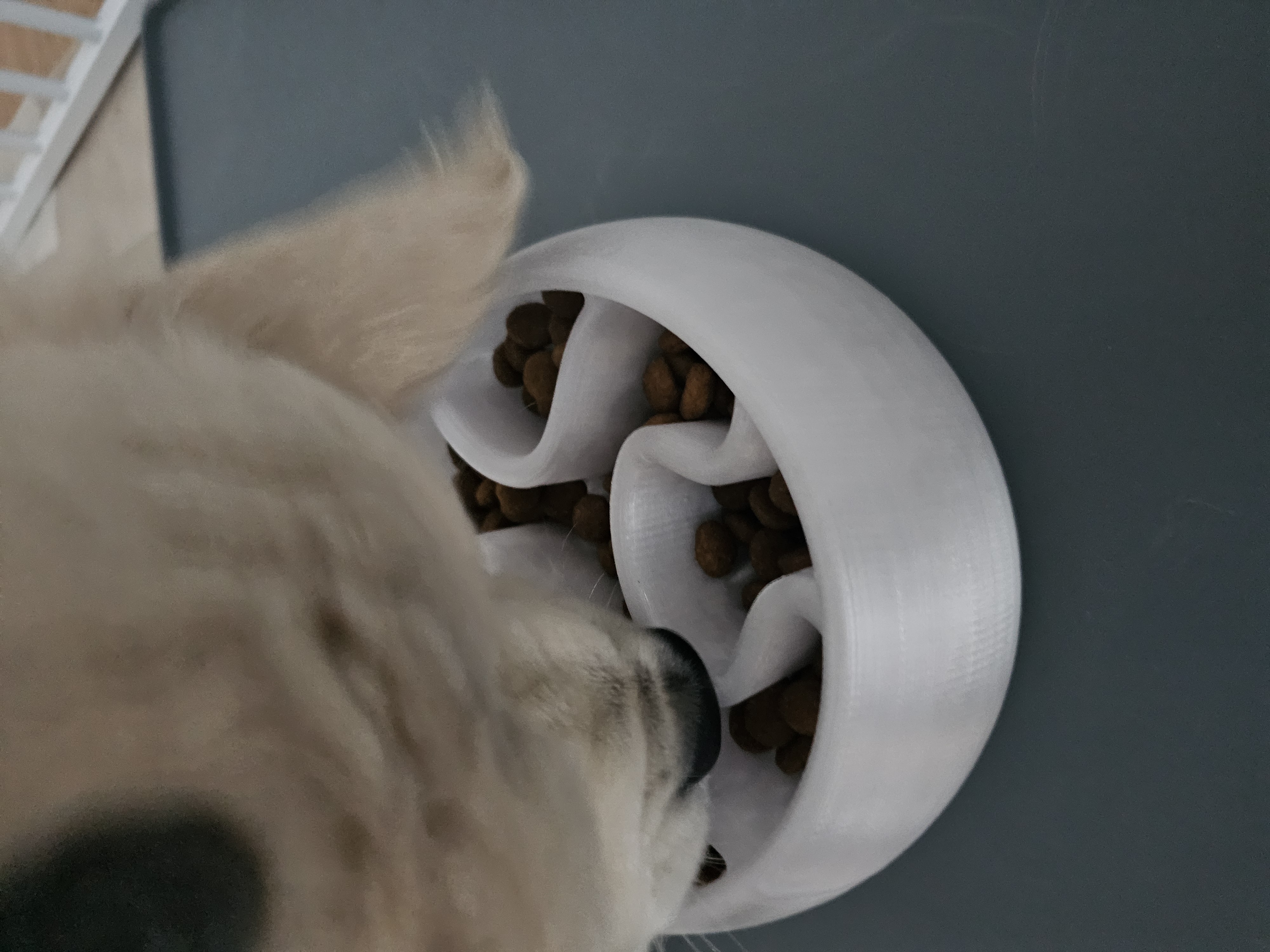 Slow Dog Feeder Puzzle [Easy/Puppy] — miniatura 3