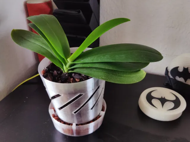 Ultimate orchids planter with clay balls tray (several sizes)