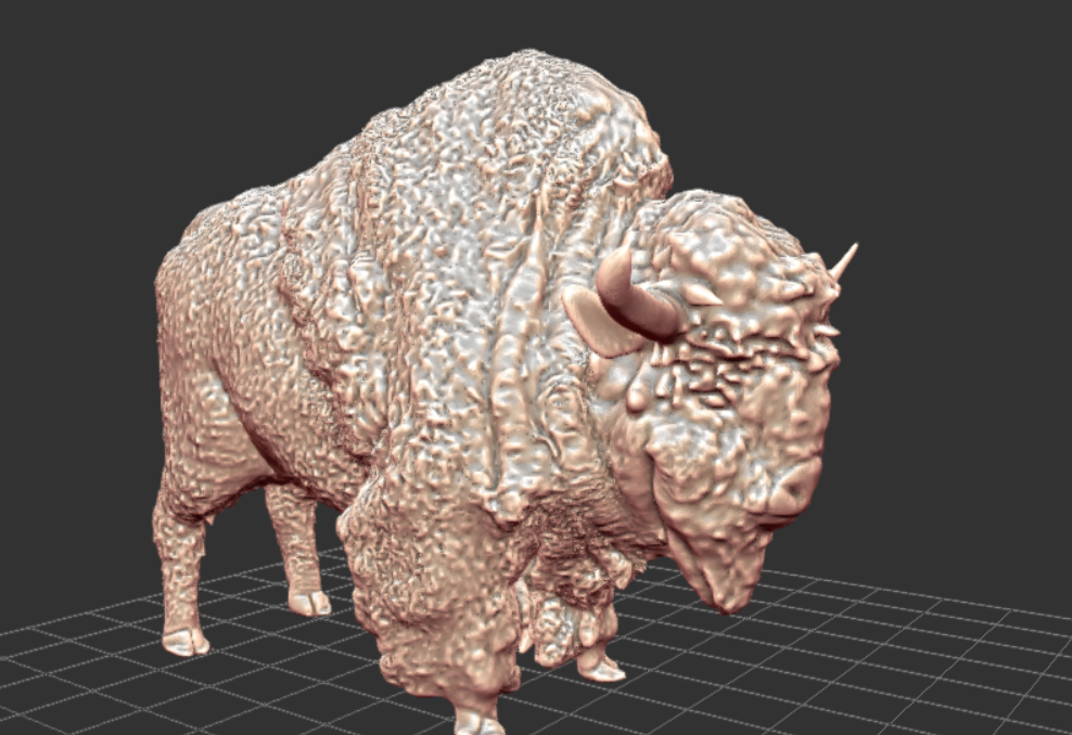Steppe Bison