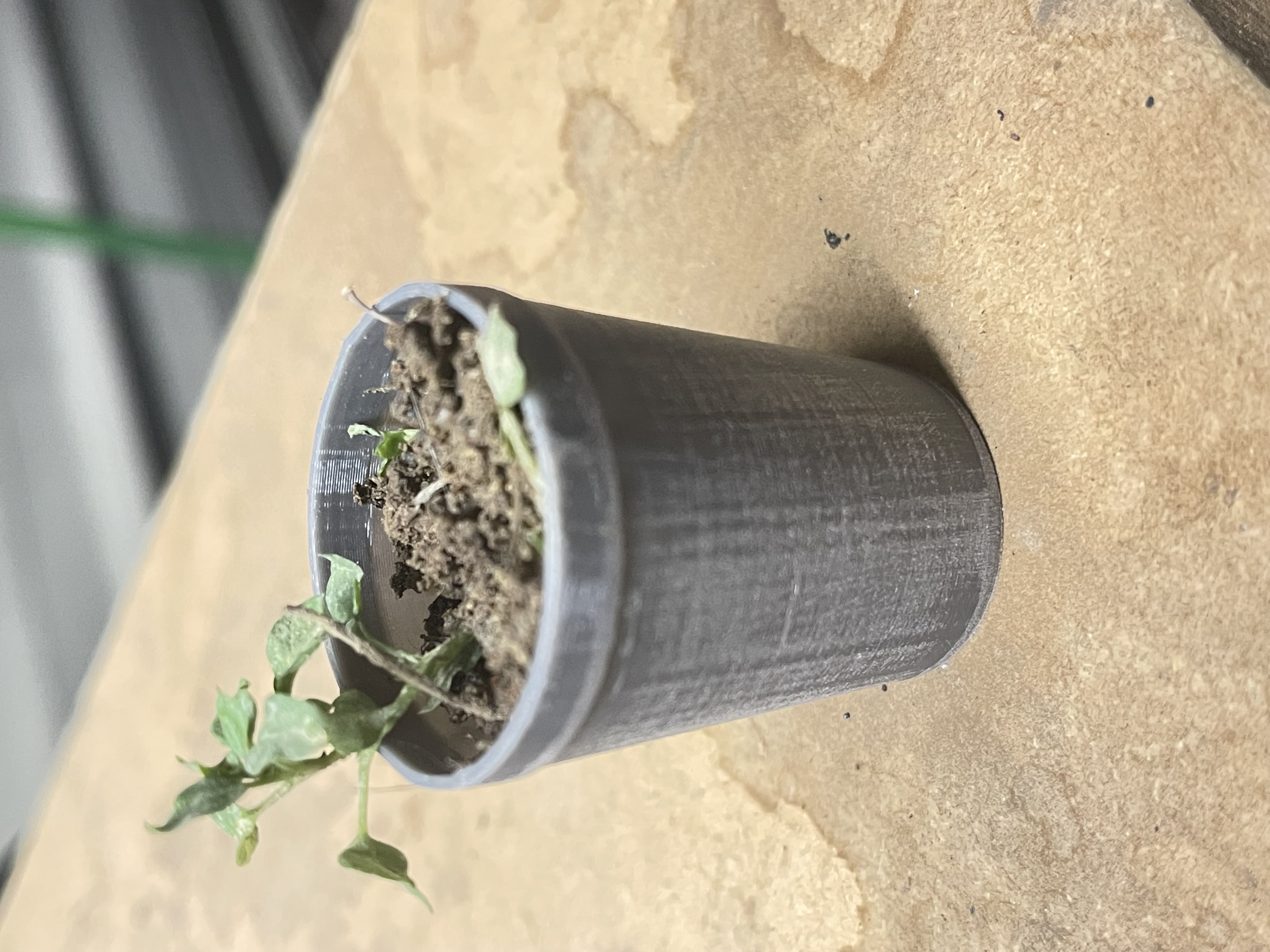 Miniatura 2 do modelo 3D Basic Plant Pot