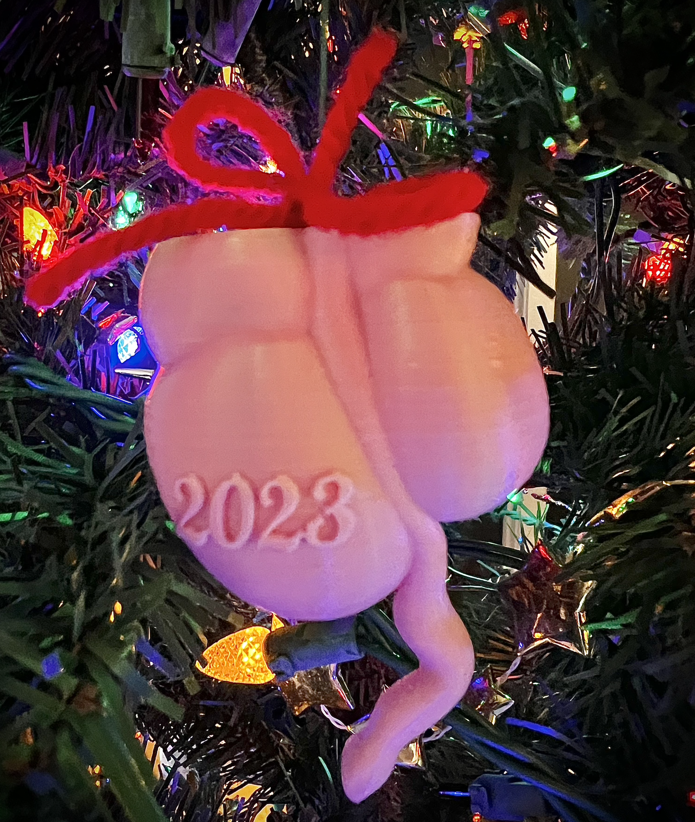 Commemorative Appendix Ornament