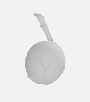onion — miniatura 4