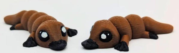 platypus
