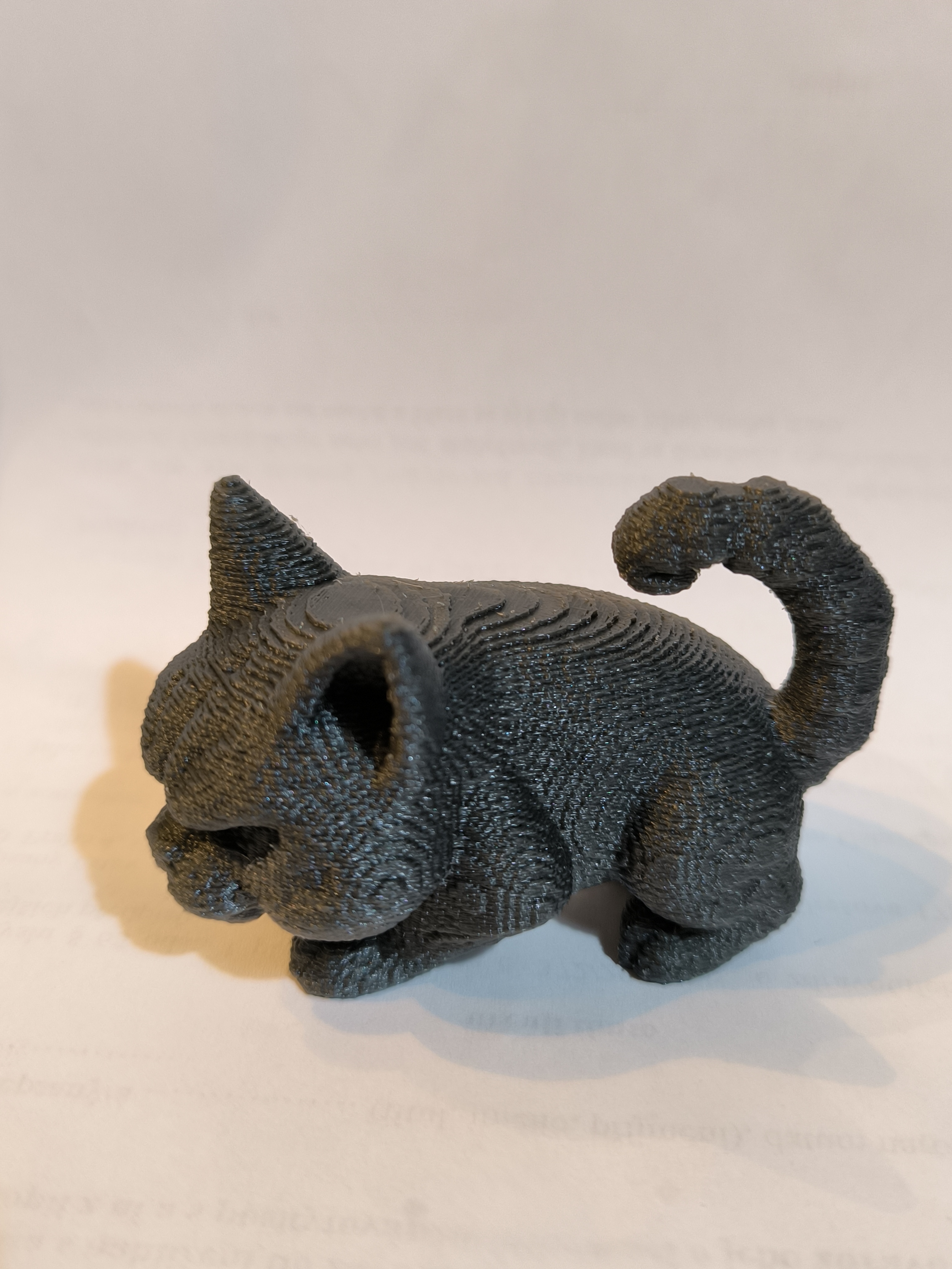Miniatura 7 do modelo 3D Angry Cat