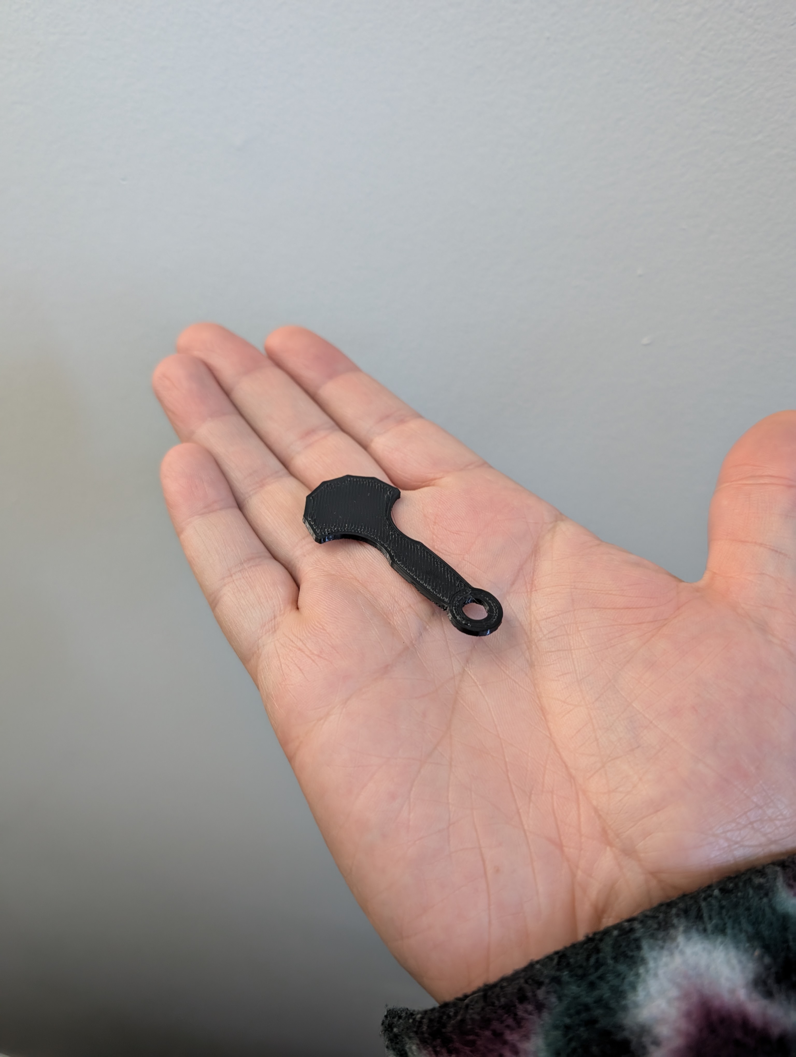 Canadian Loonie Shopping Cart Key