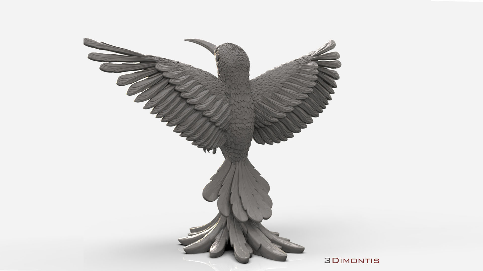 hummingbird — miniatura 11