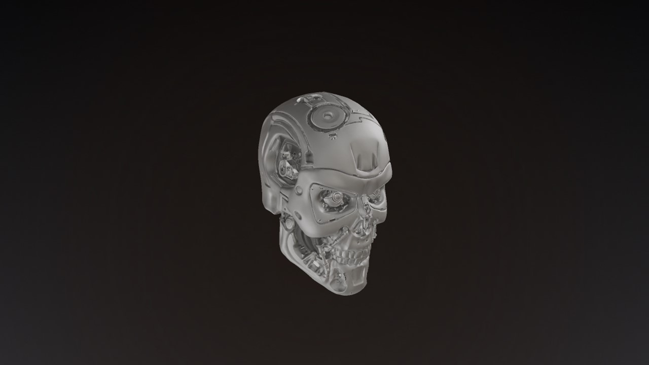 TERMINATOR HEAD