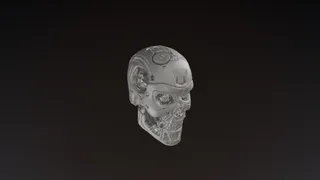 TERMINATOR HEAD