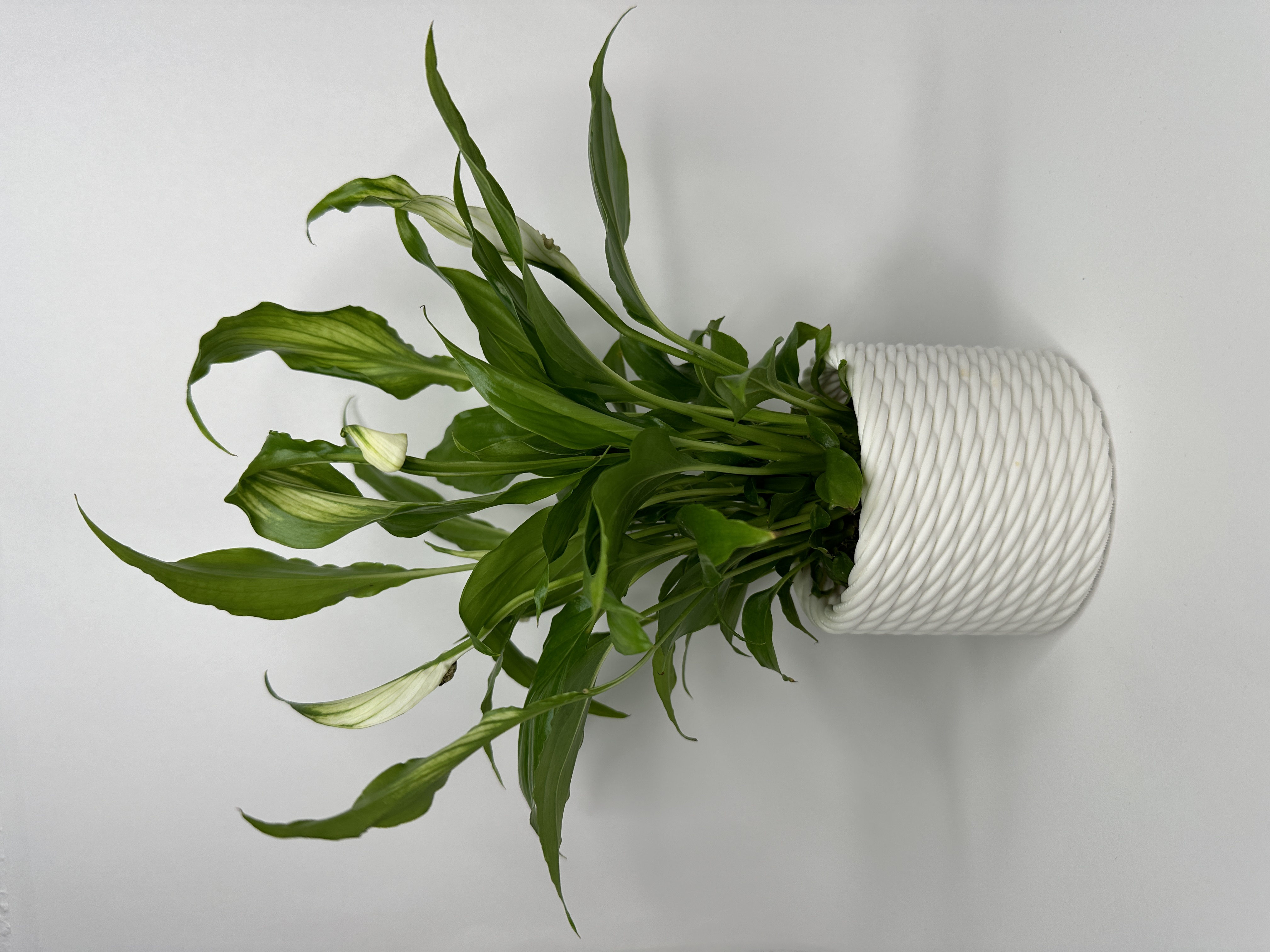 braided-basket-look-plant-pot-by-printma-download-free-stl-model