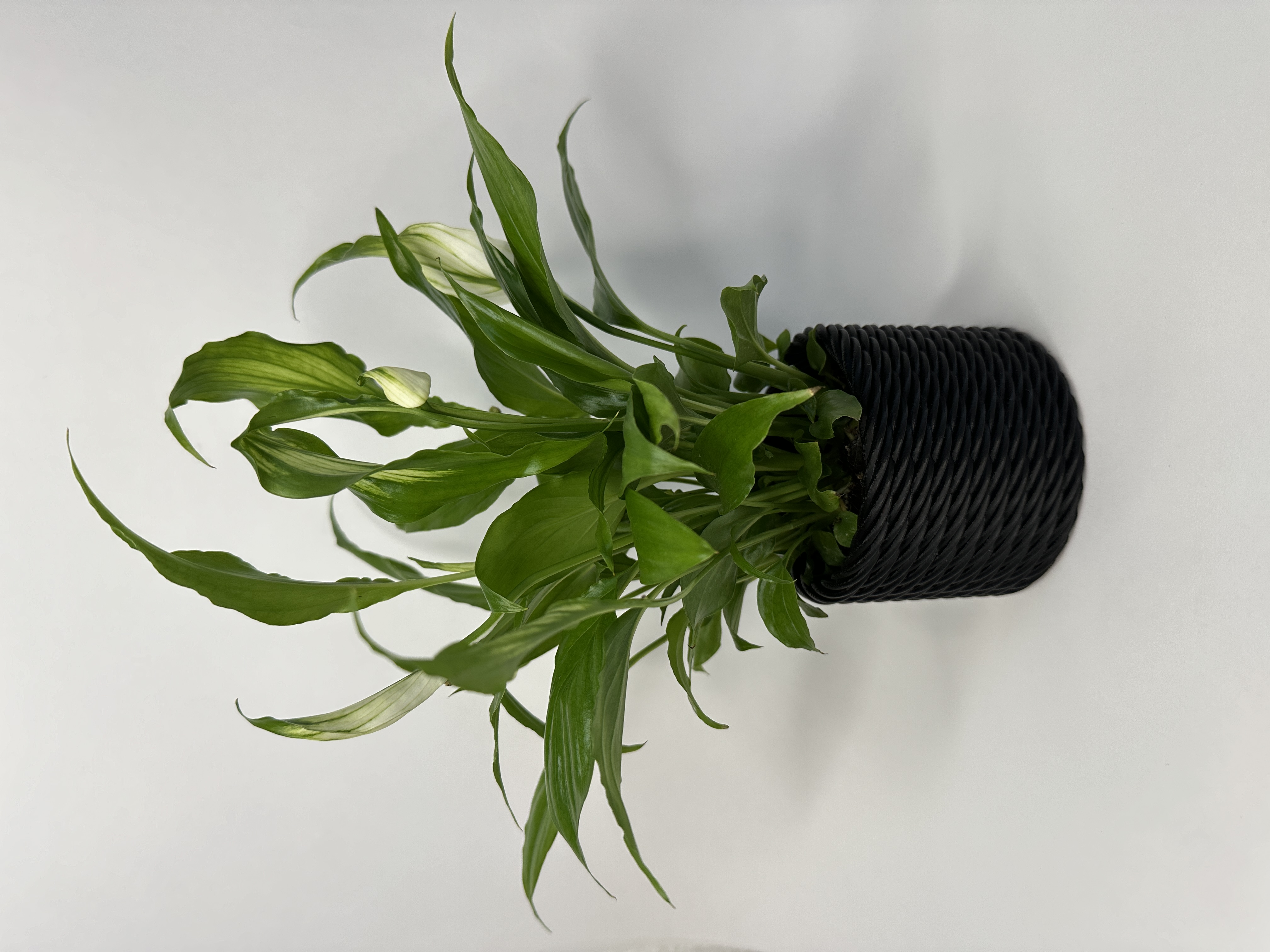 Braided basket look plant pot by PrintMa Download free STL model