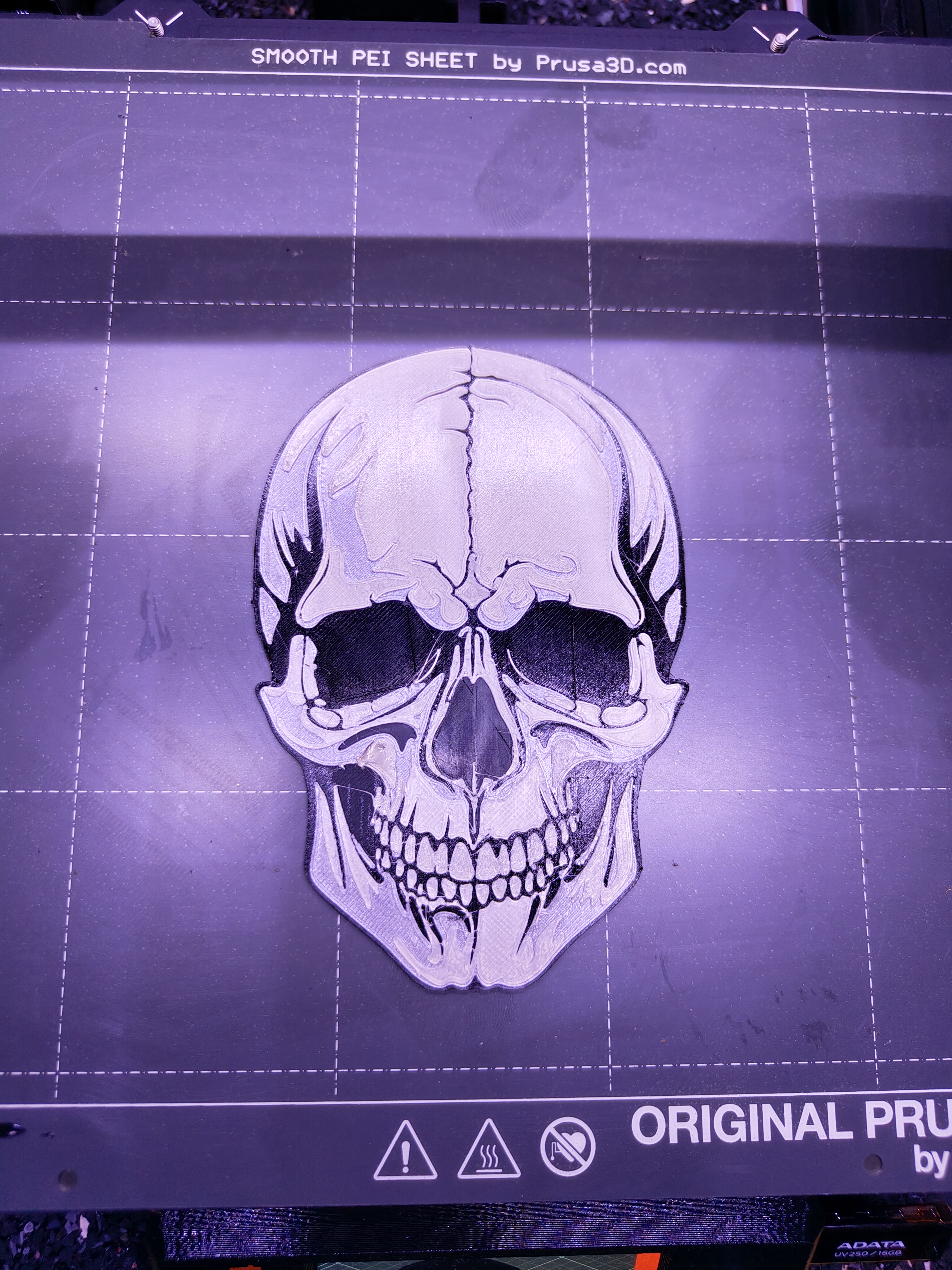 Skull - Wall art