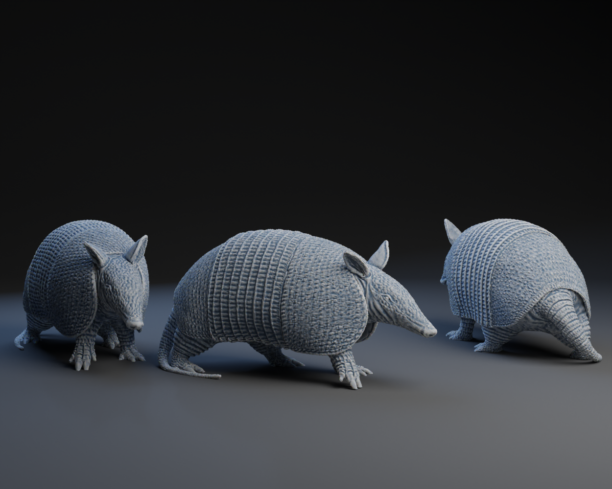 Armadillo