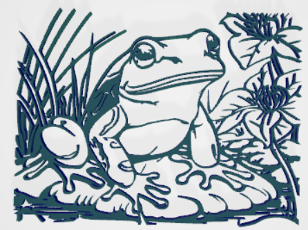 Frog Wall Art